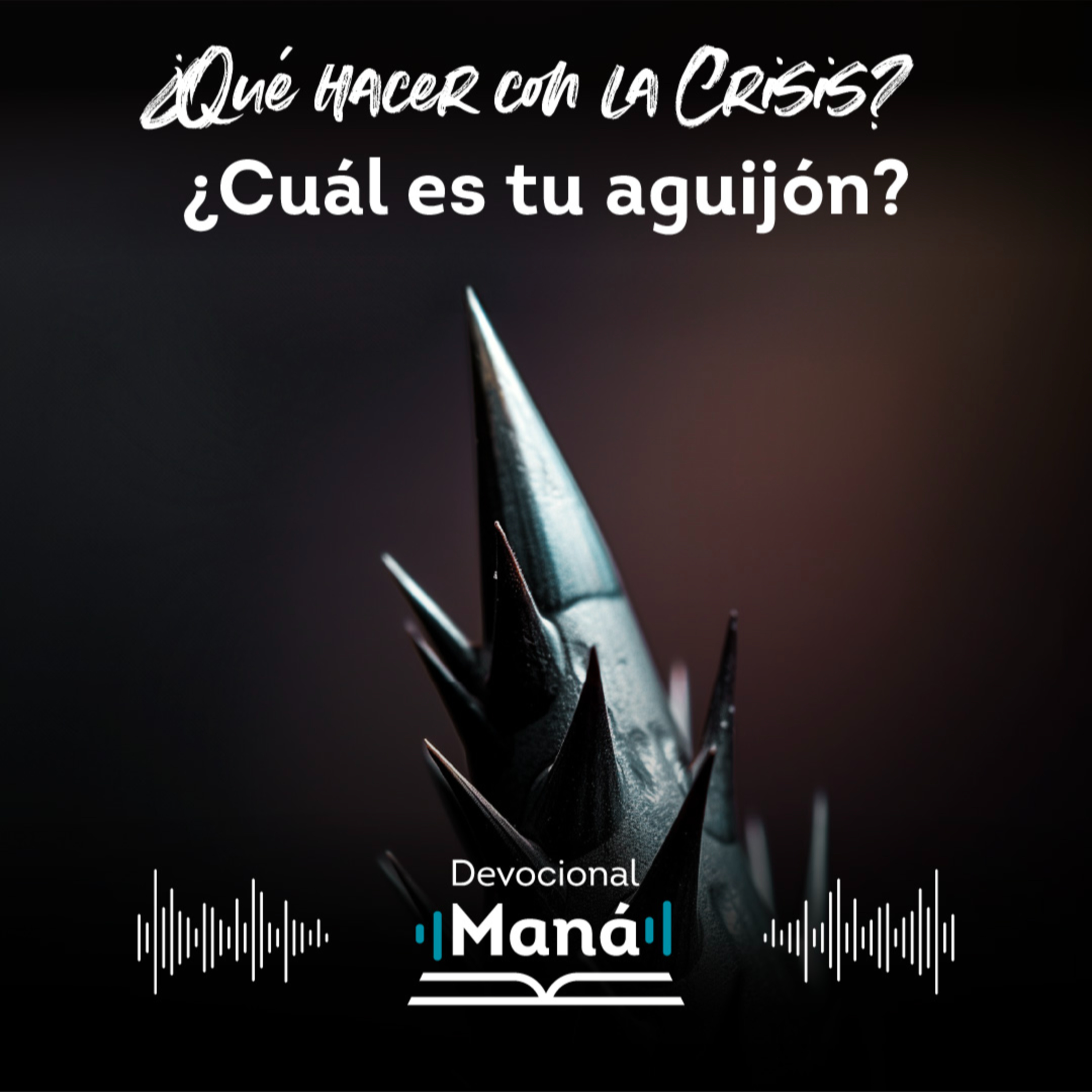 Devocional Maná