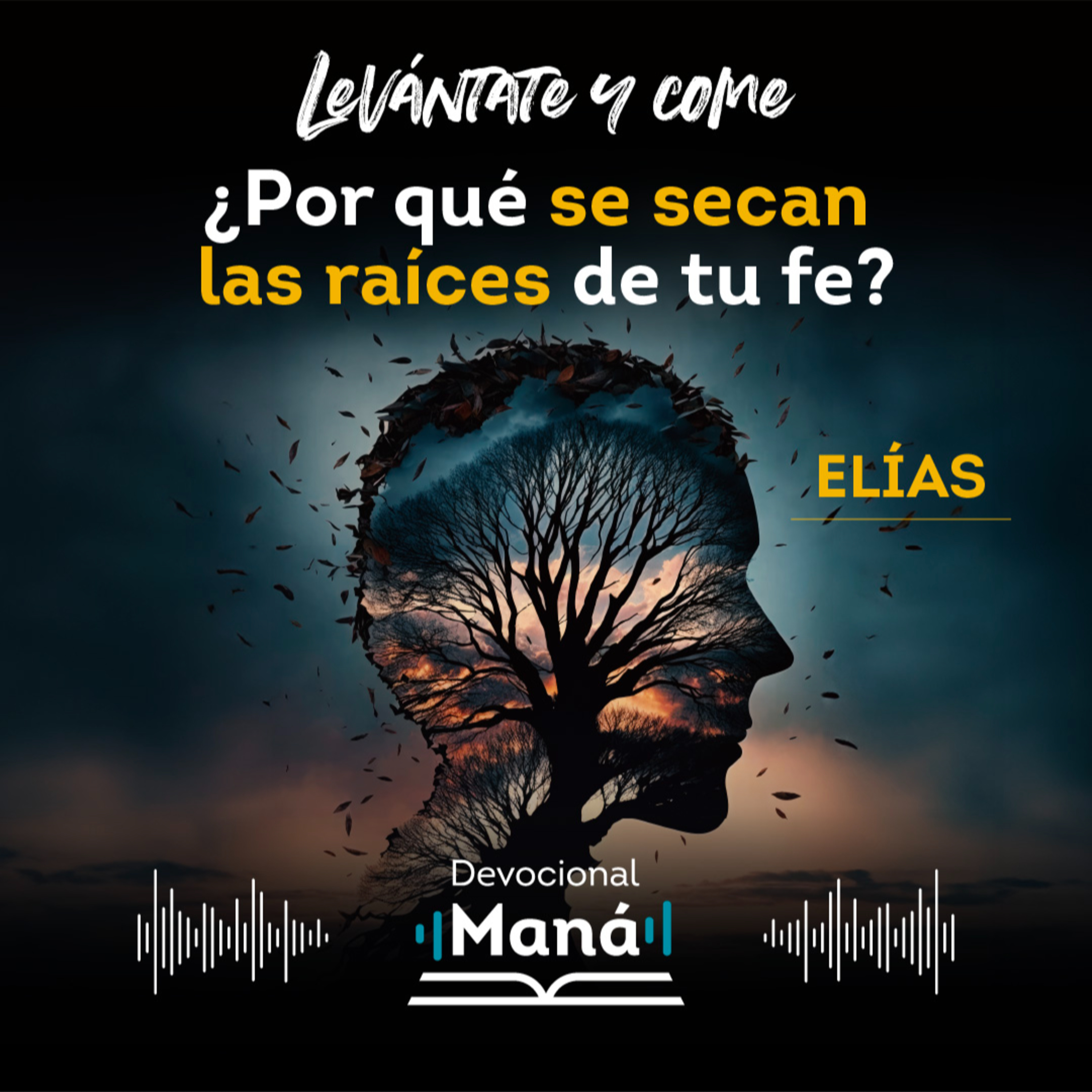 Devocional Maná