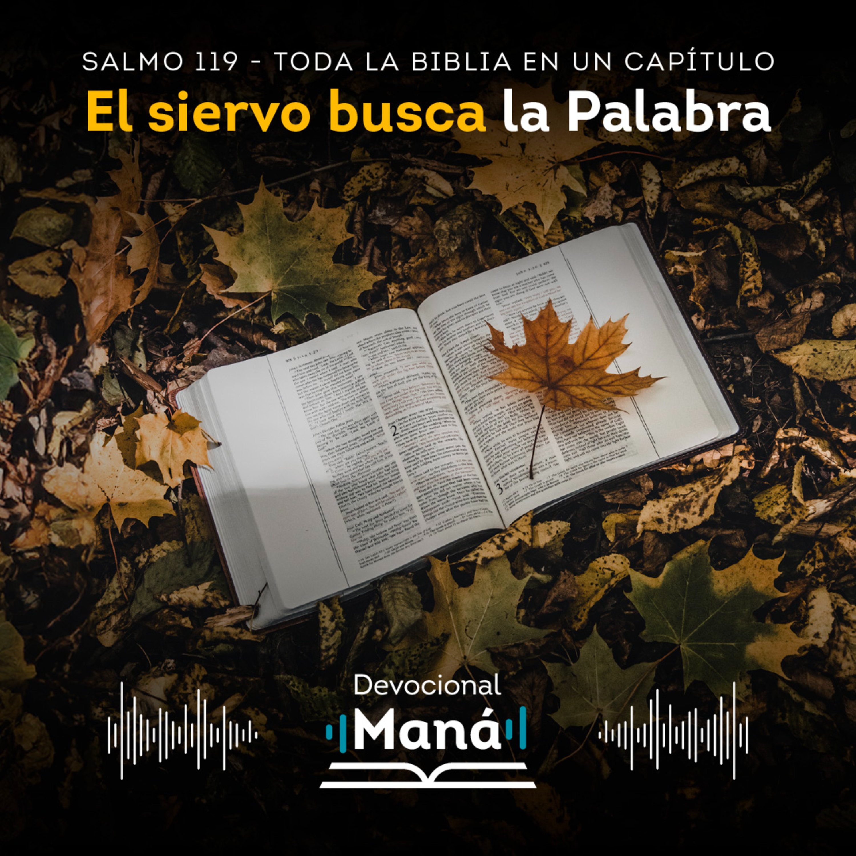 Devocional │ Ayin: "El Siervo Busca la Palabra" - Salmos 119:121-128* episode artwork