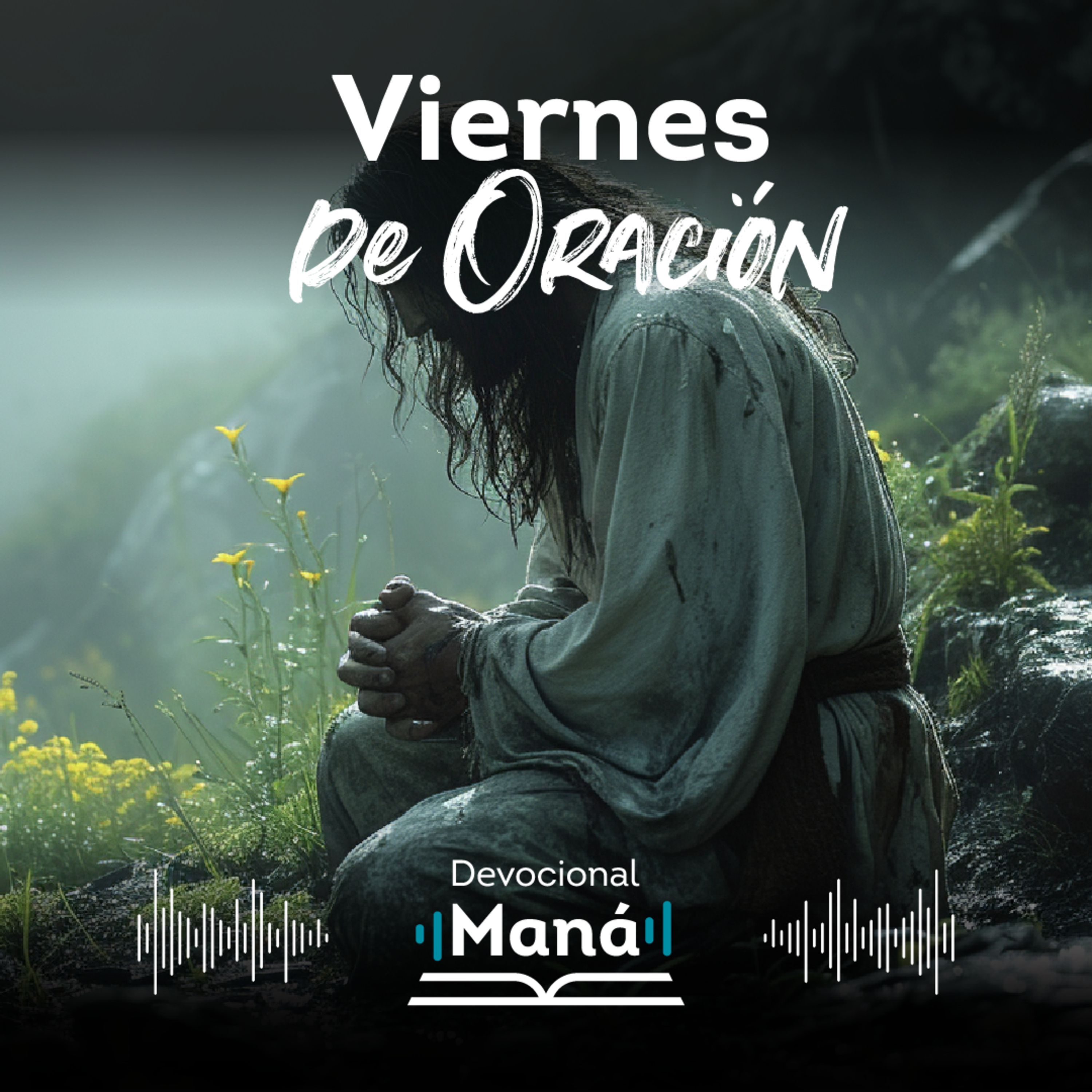 Devocional Maná