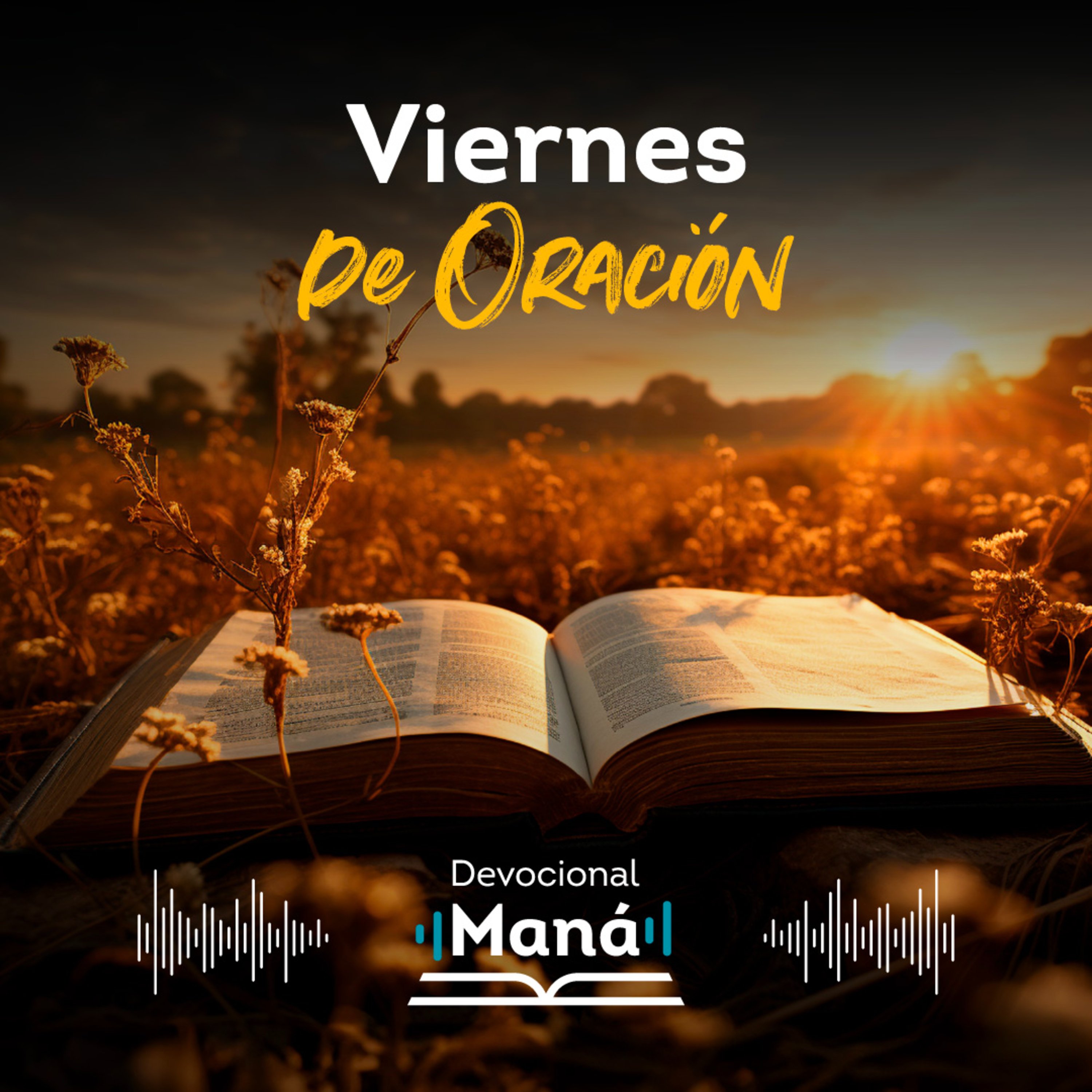 Devocional Maná