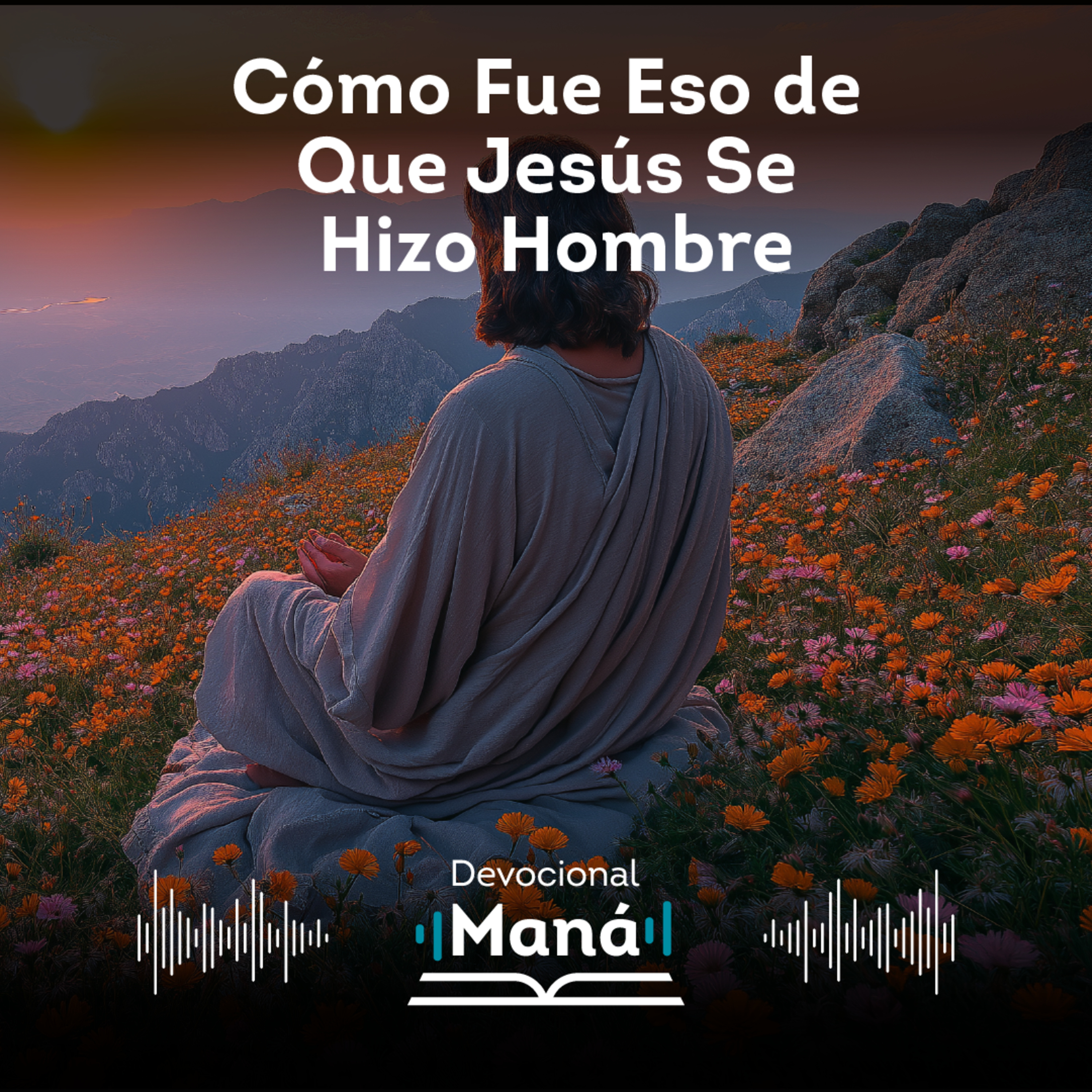 ¿Cómo Fue Eso de Que Jesús Se Hizo Hombre? episode artwork