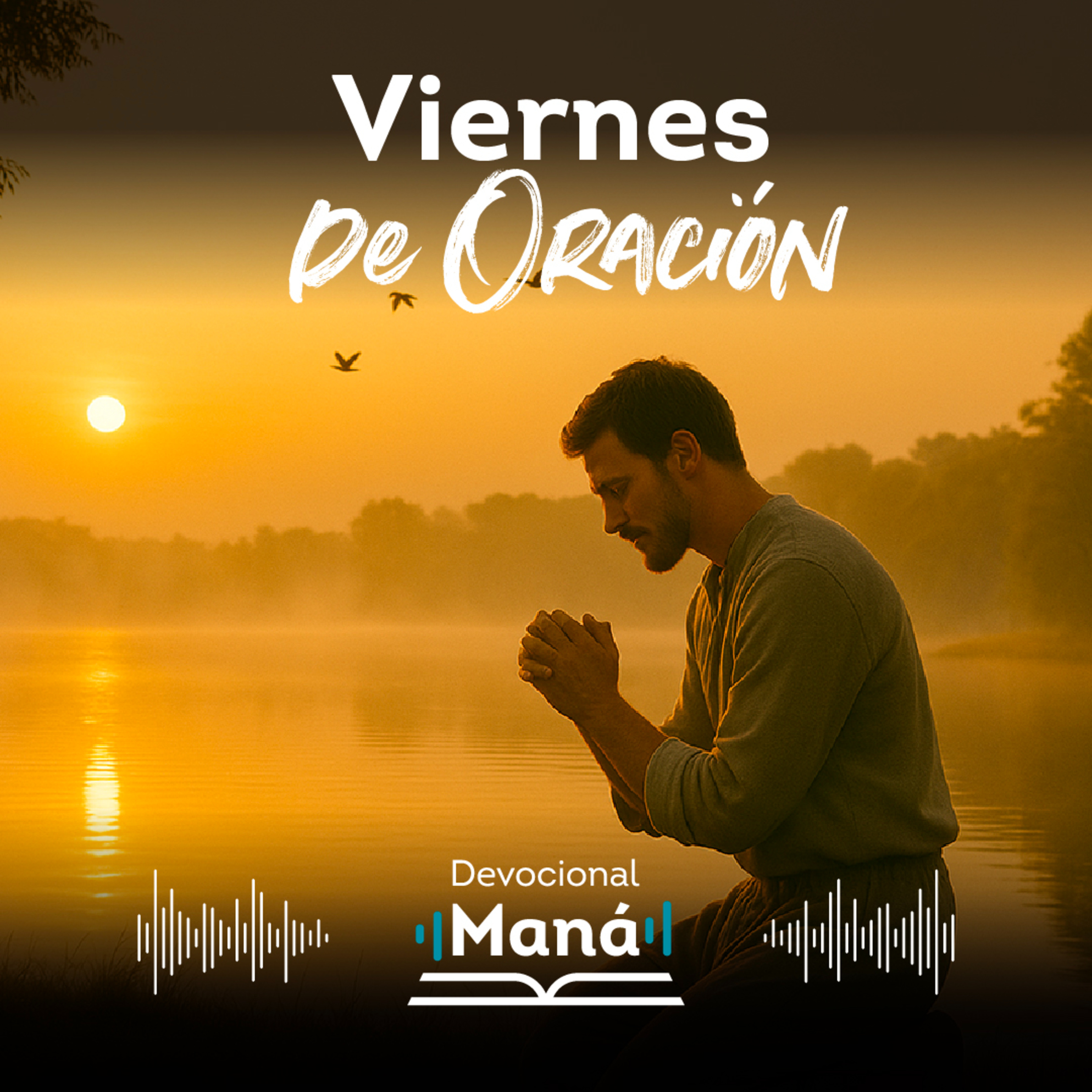Devocional Maná
