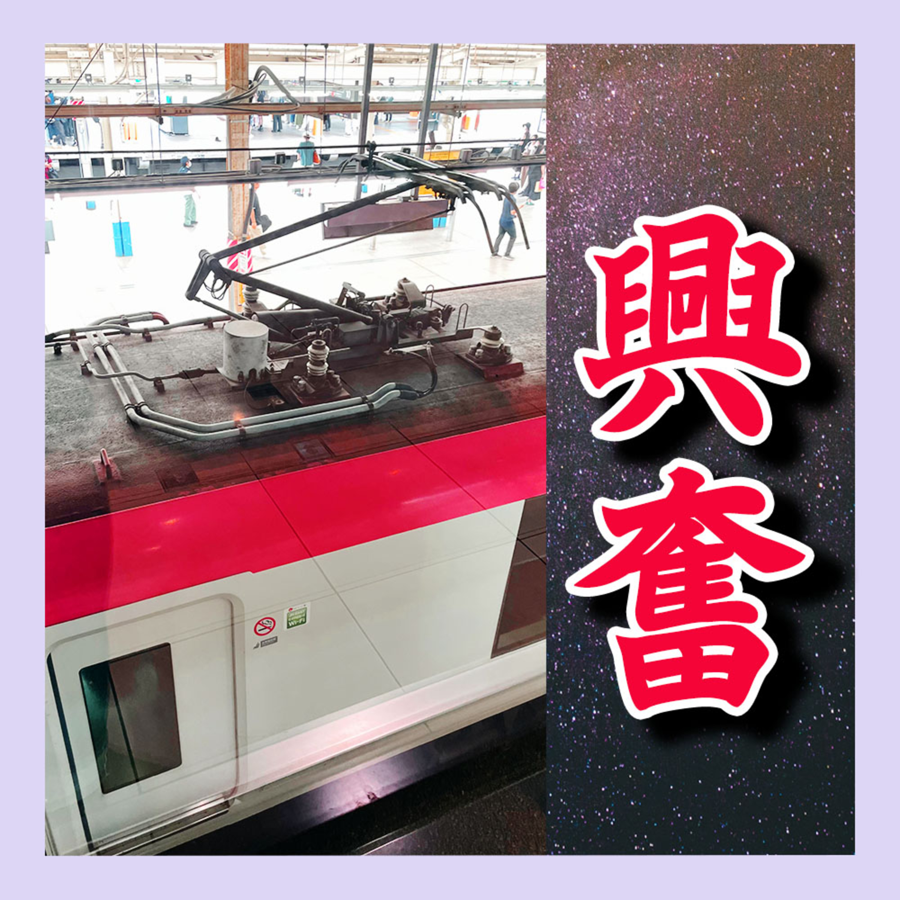 おっ、パンタグラフだ。興奮してきたな。