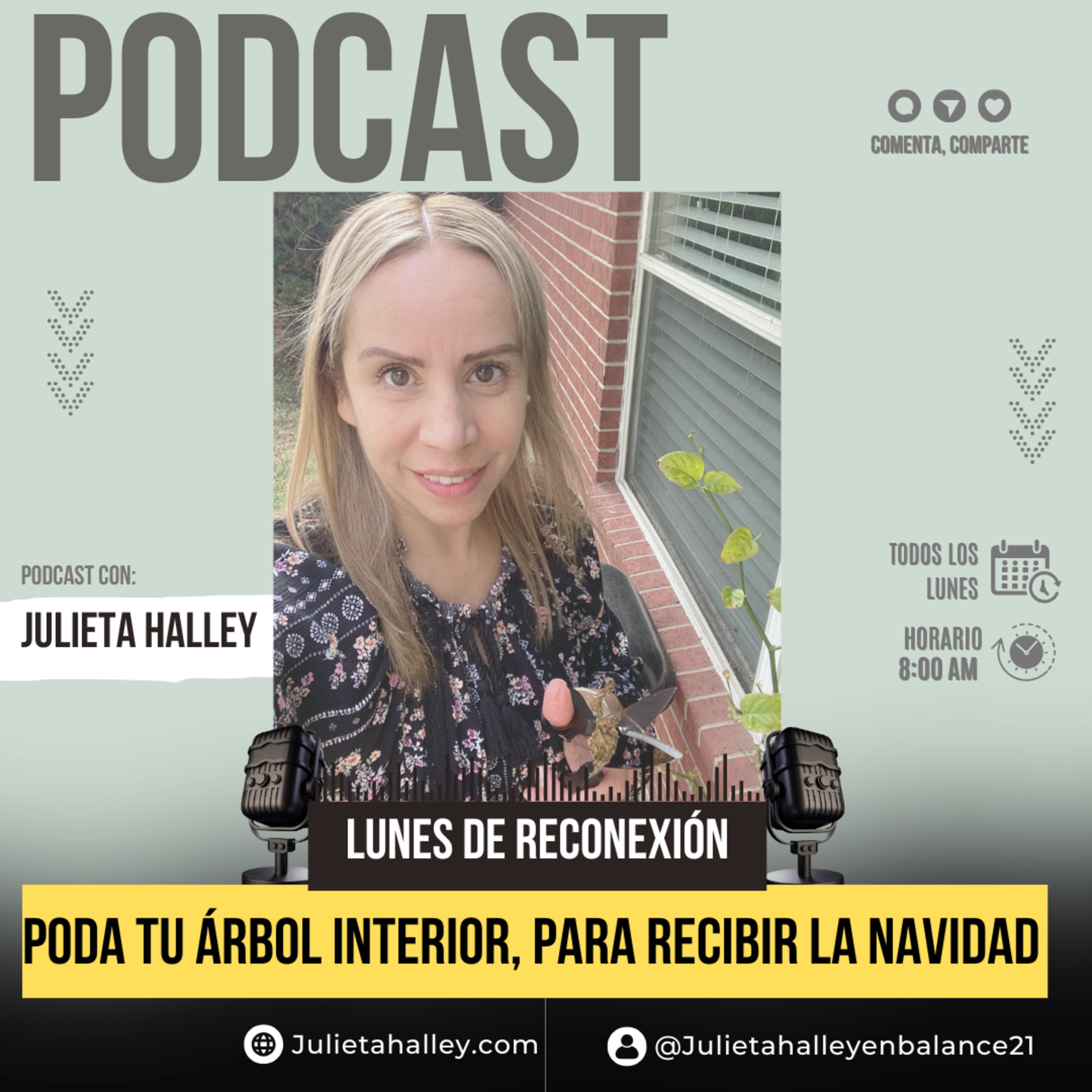 PODA TU ARBOL INTERIOR, PARA RECIBIR LA NAVIDAD