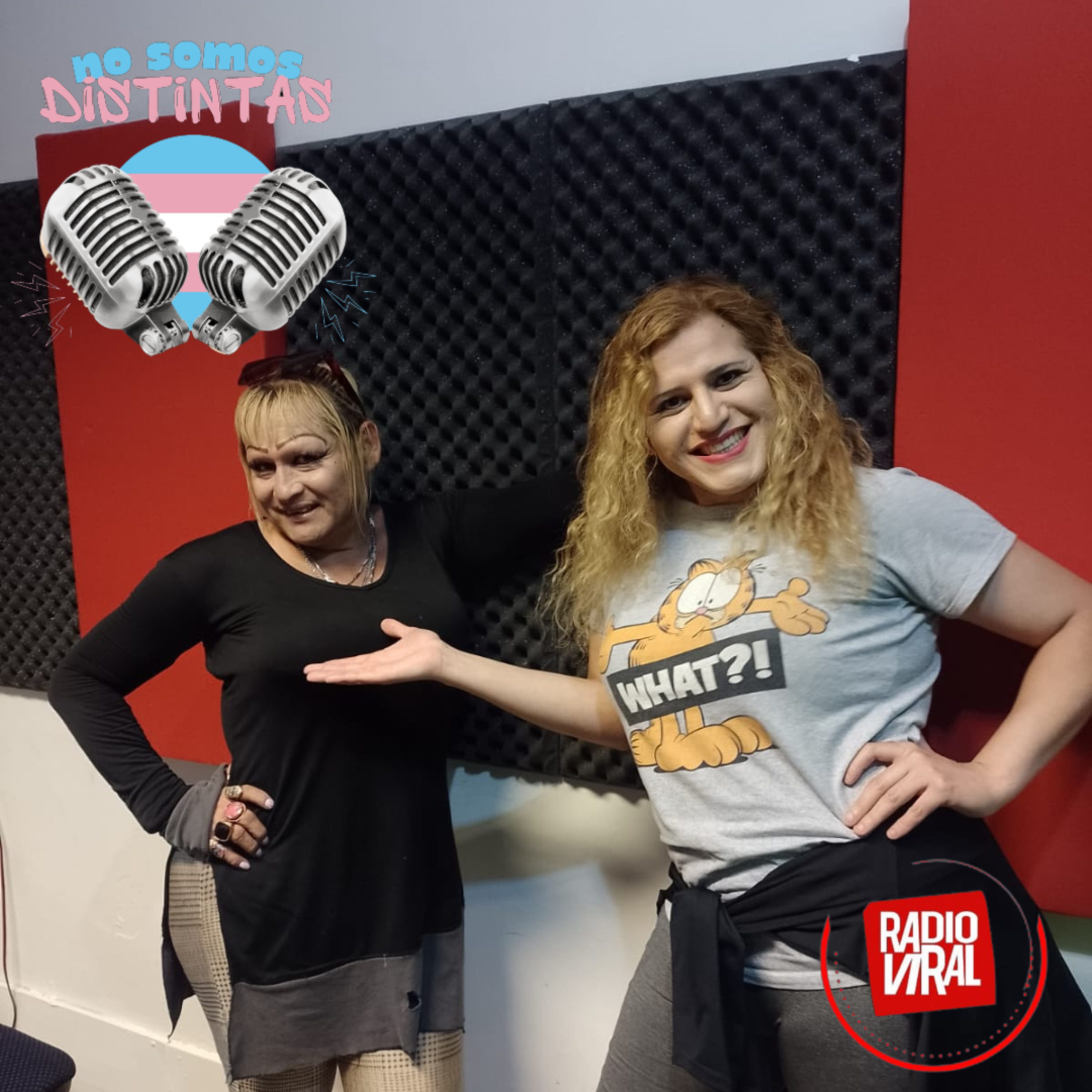 RADIO VIRAL COMUNITARIA