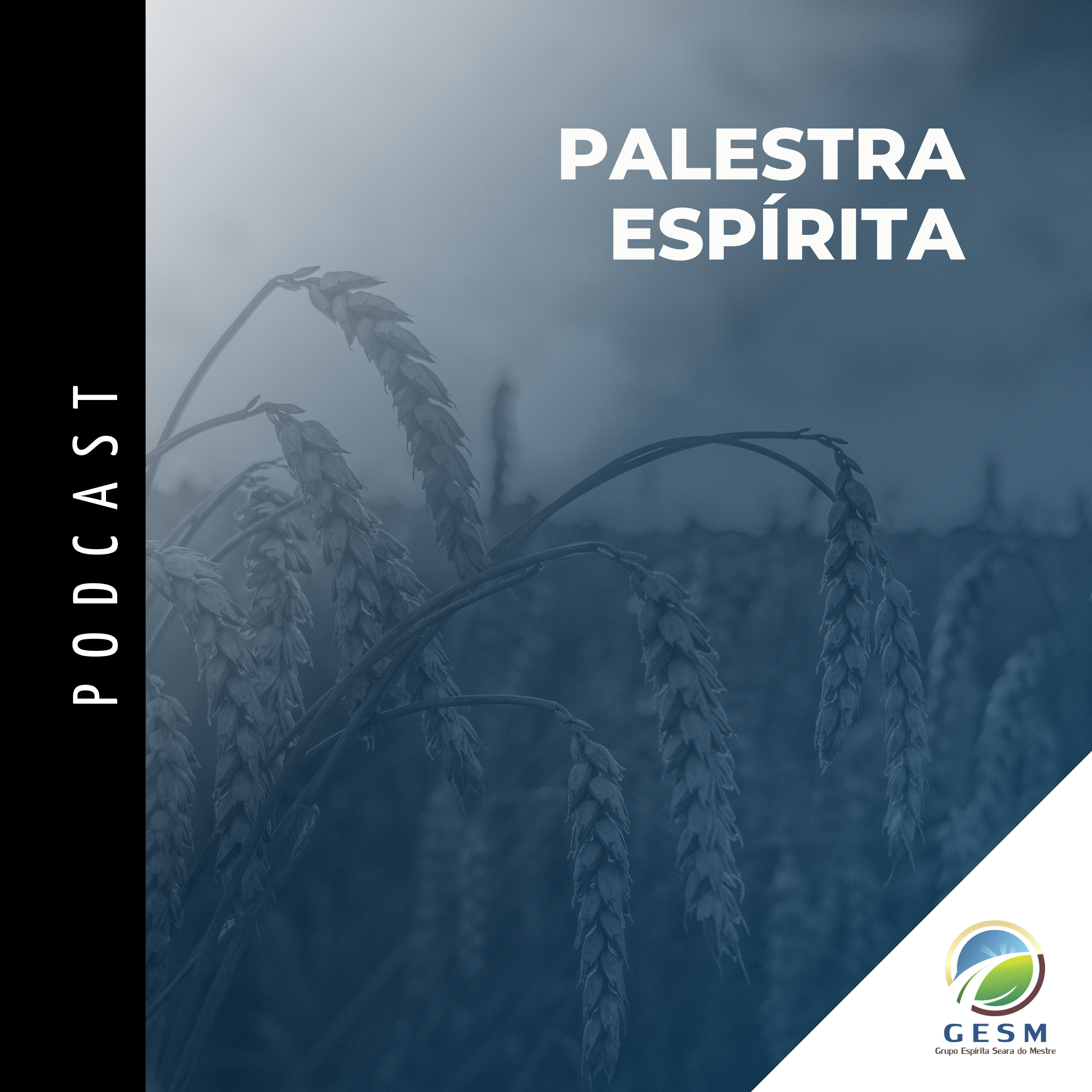 Grupo Espírita Seara do Mestre