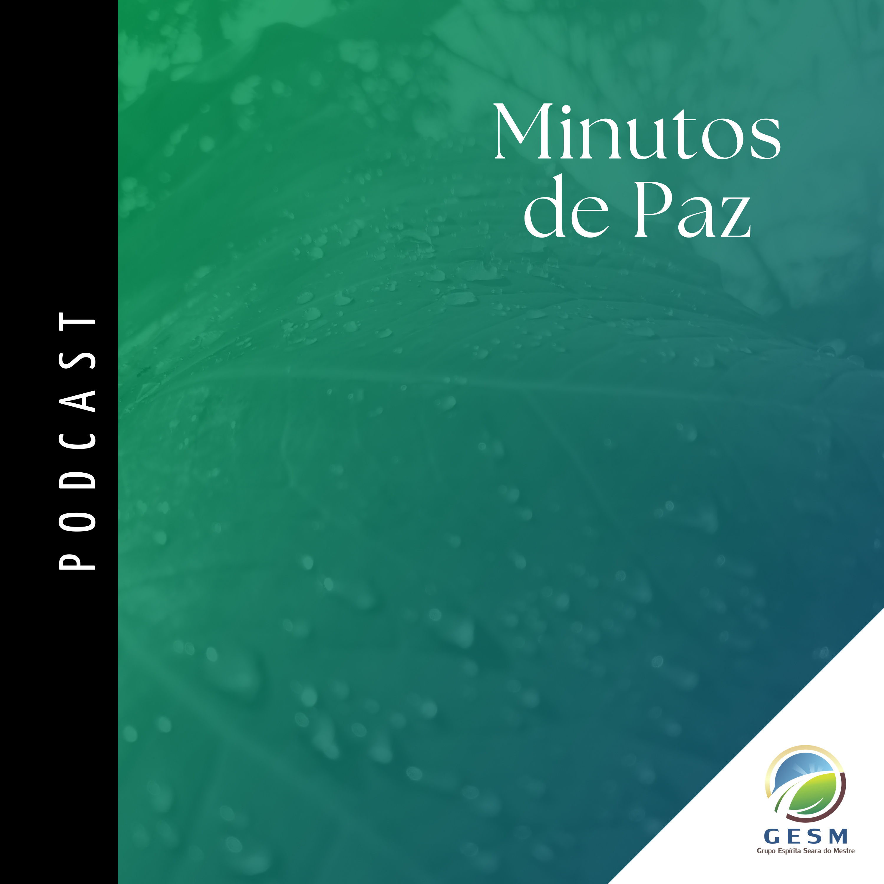 Grupo Espírita Seara do Mestre