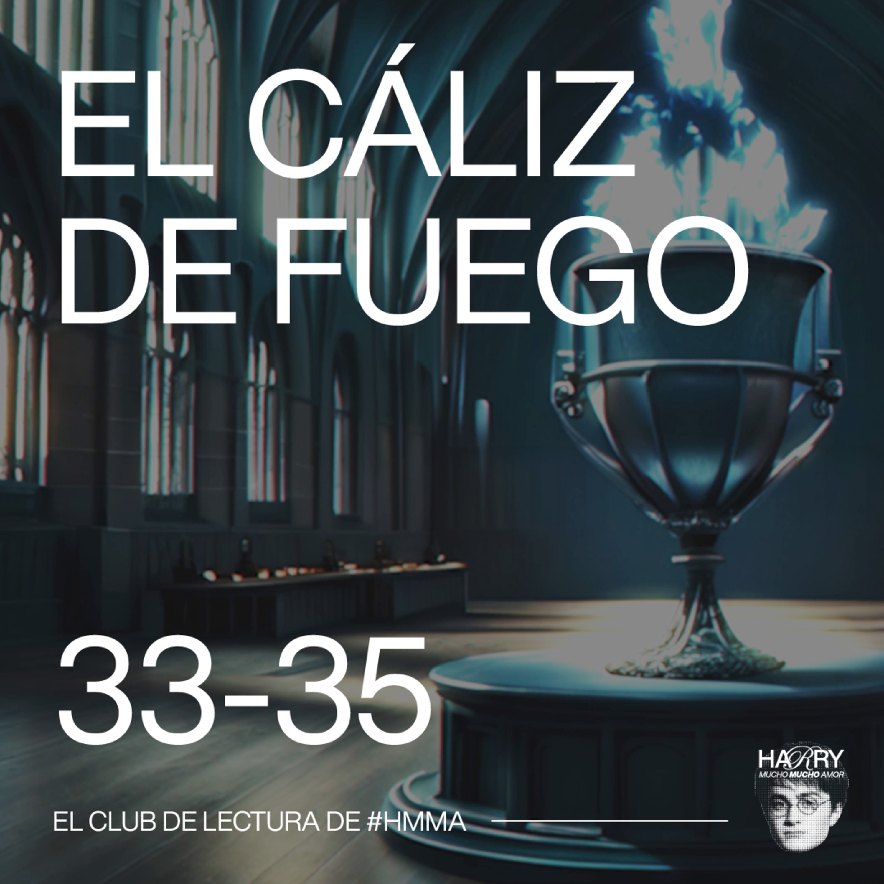 SI NO TE REÍS CON ESTE VIDEO TENÉS EL CORAZÓN FRÍO COMO CEDRIC DIGGORY AL FINAL DEL CALIZ DE FUEGO 😂 Harry Potter y El Cáliz de Fuego | Capítulos 33-35 📚