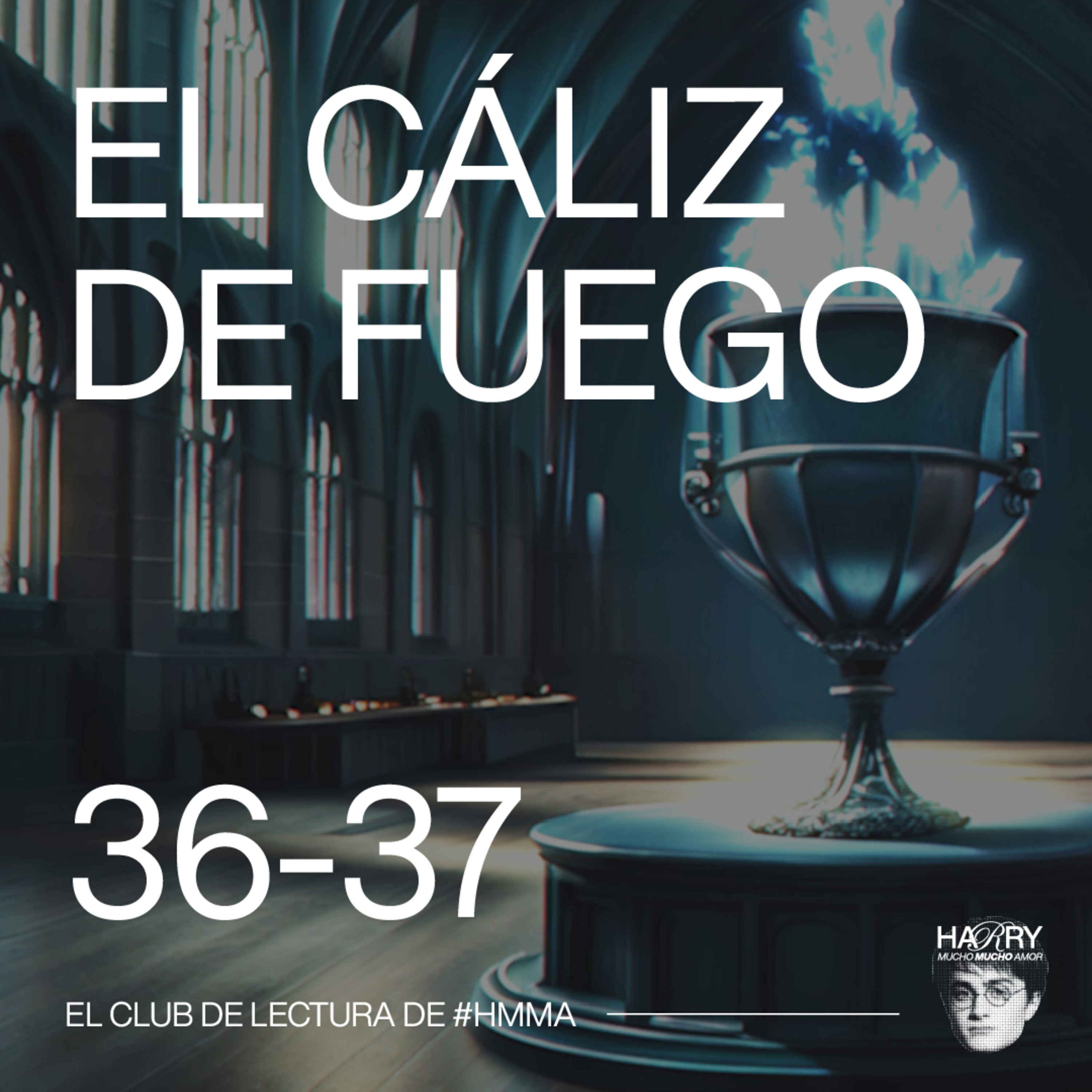 TERMINAMOS EL CALIZ DE FUEGO🏆 Harry Potter y El Cáliz de Fuego | Capítulos 36-37 📚