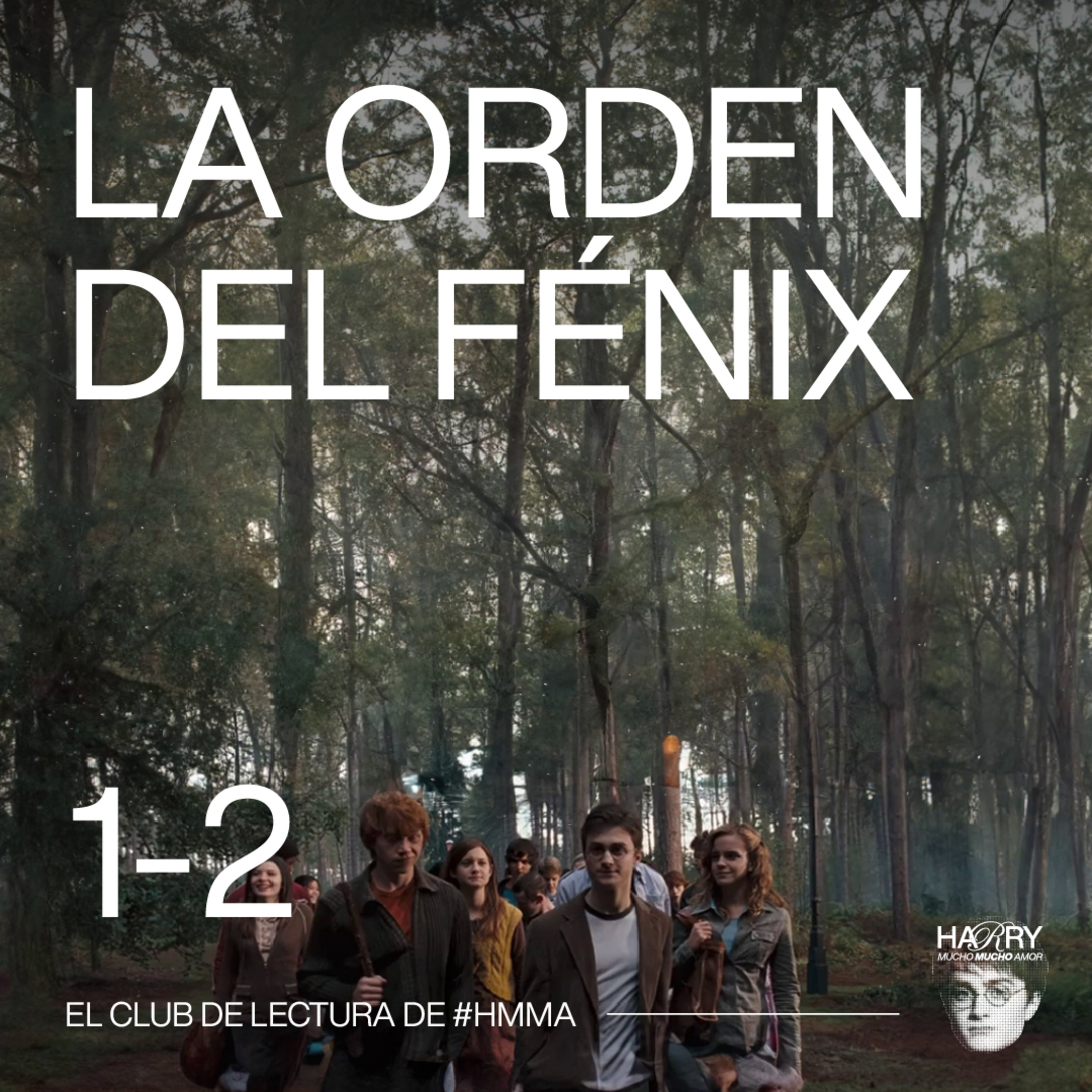 HARRY ESTÁ RE CALIENTE 😡 Harry Potter y La Orden del Fénix | Capítulos 1-2 📚