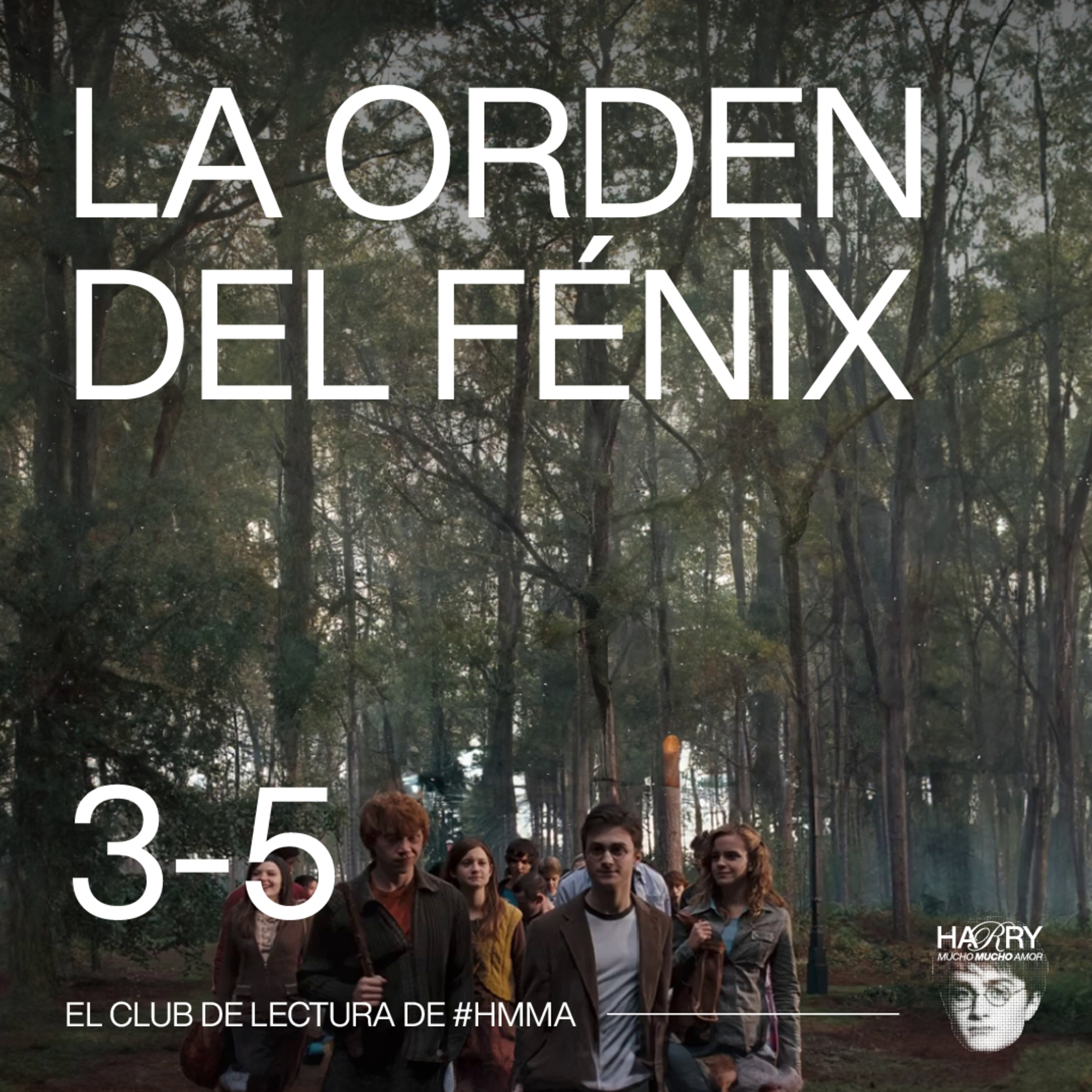 🚨🚨 SILLAZOS EN LA ORDEN DEL FÉNIX 🚨🚨**MOLLY vs SIRIUS** Harry Potter y La Orden del Fénix | Capítulos 3-5 📚