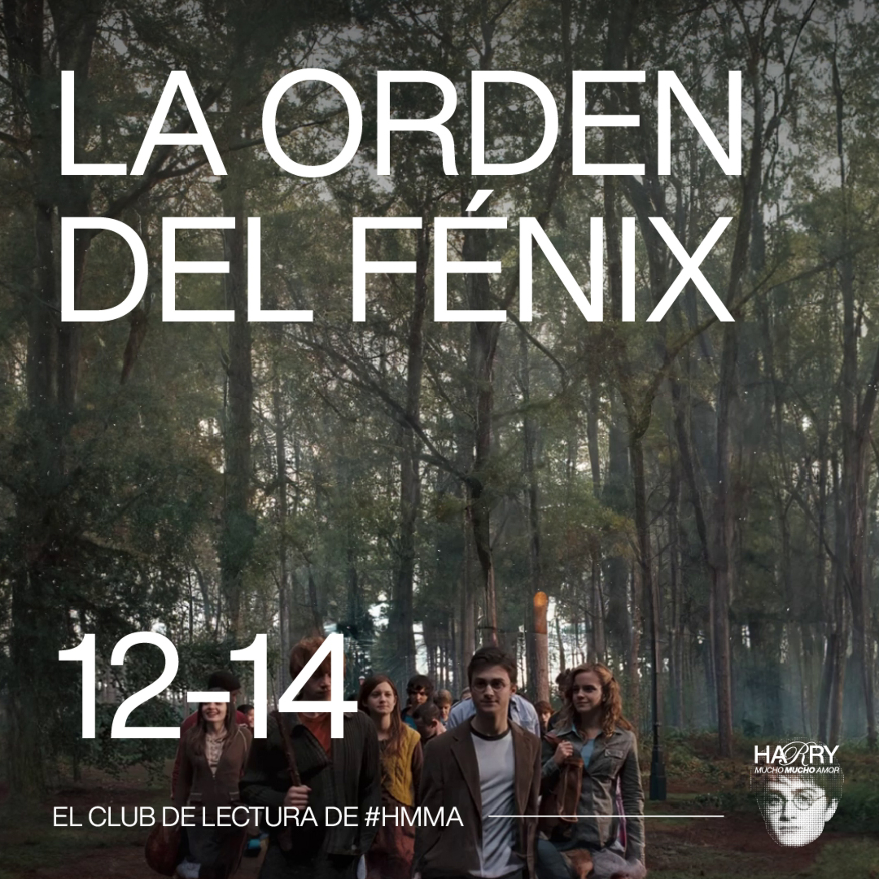 NOS PELEAMOS 😥 Harry Potter y La Orden del Fénix | Capítulos 12-14 📚