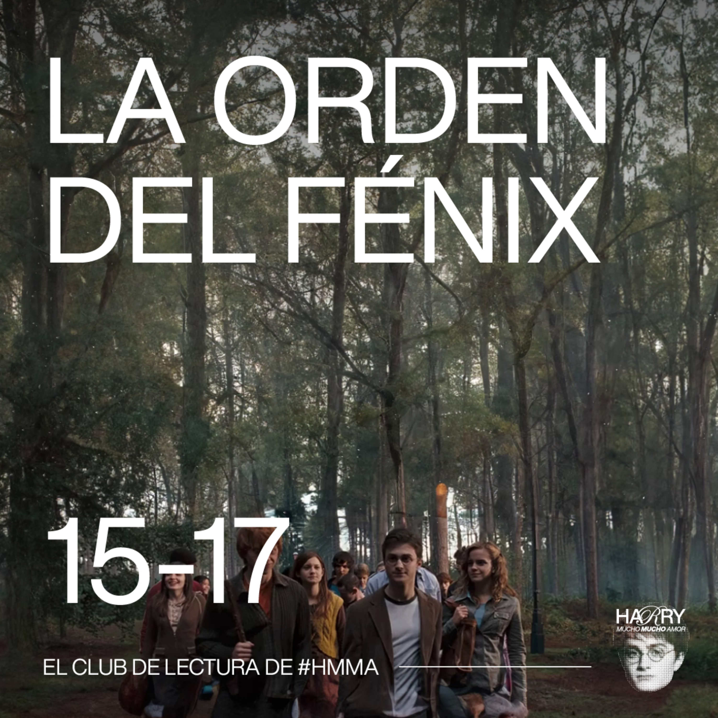 EPISODIO ACCIDENTADO 🤪 Harry Potter y La Orden del Fénix | Capítulos 15 - 17 📚