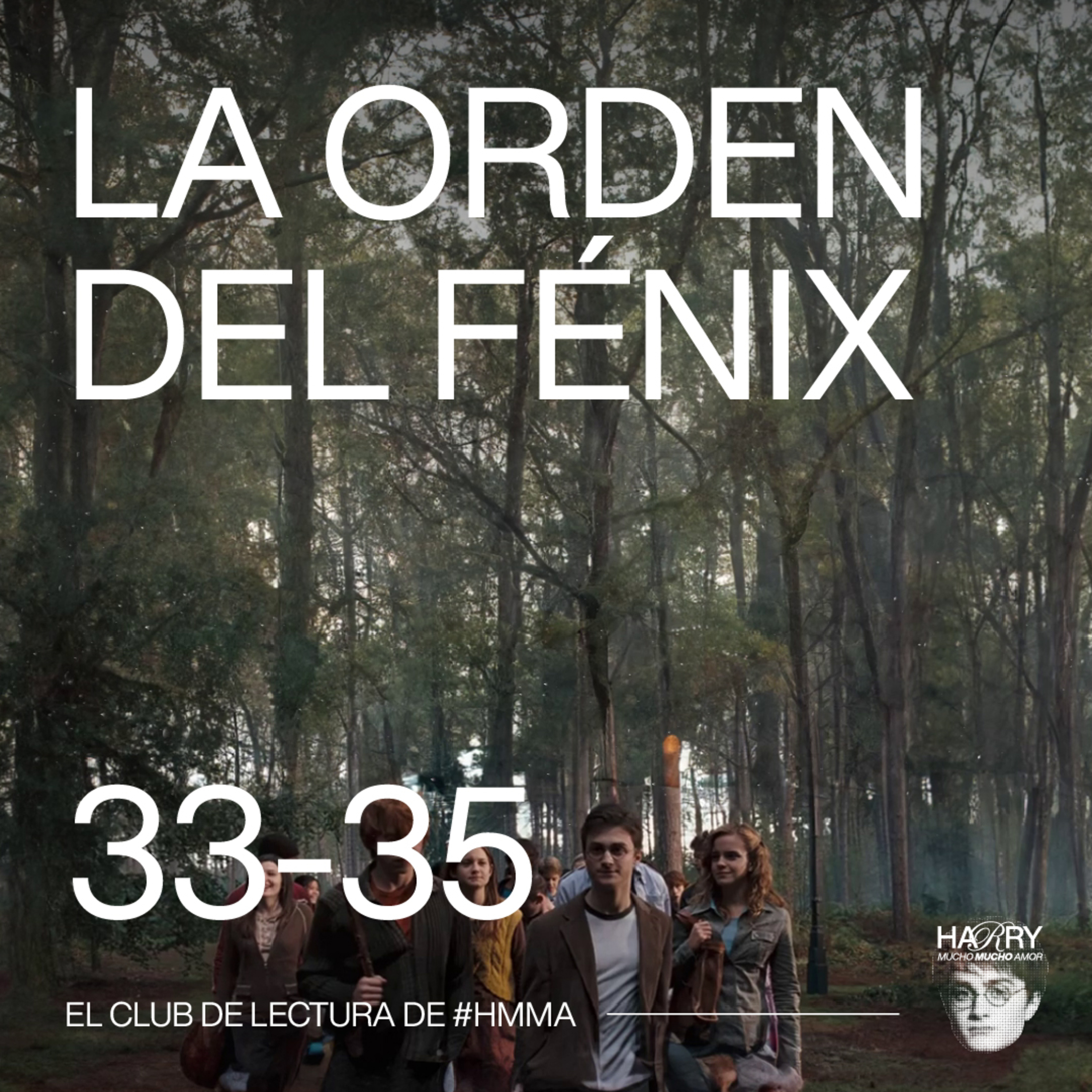 LUPIN ESTO, LUPIN AQUELLO, PERO NADIE "¿CÓMO ESTÁ LUPIN?" 😡 Harry Potter y La Orden del Fénix | Capítulos 33-35 📚