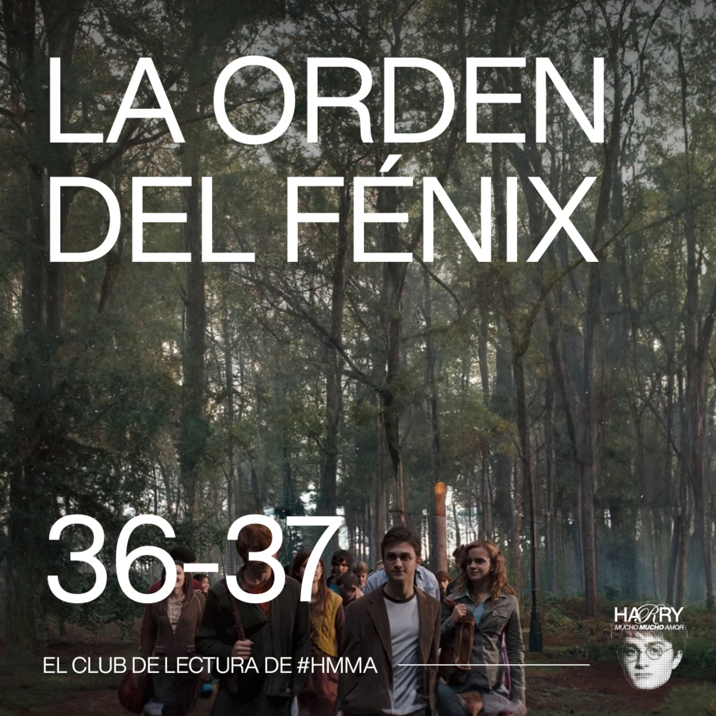 ABUELITO CAE EN ESTAFA TELEFÓNICA 😥 Harry Potter y La Orden del Fénix | Capítulos 36-37 📚