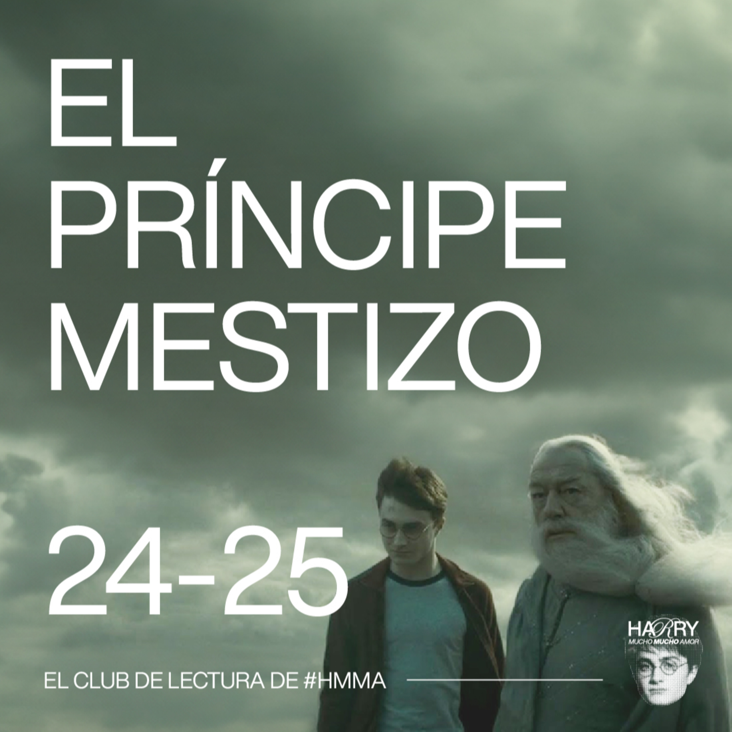 GINNY Y HARRY SE BESAN 💋 Harry Potter y El Príncipe Mestizo | Capítulos 24-25 📚