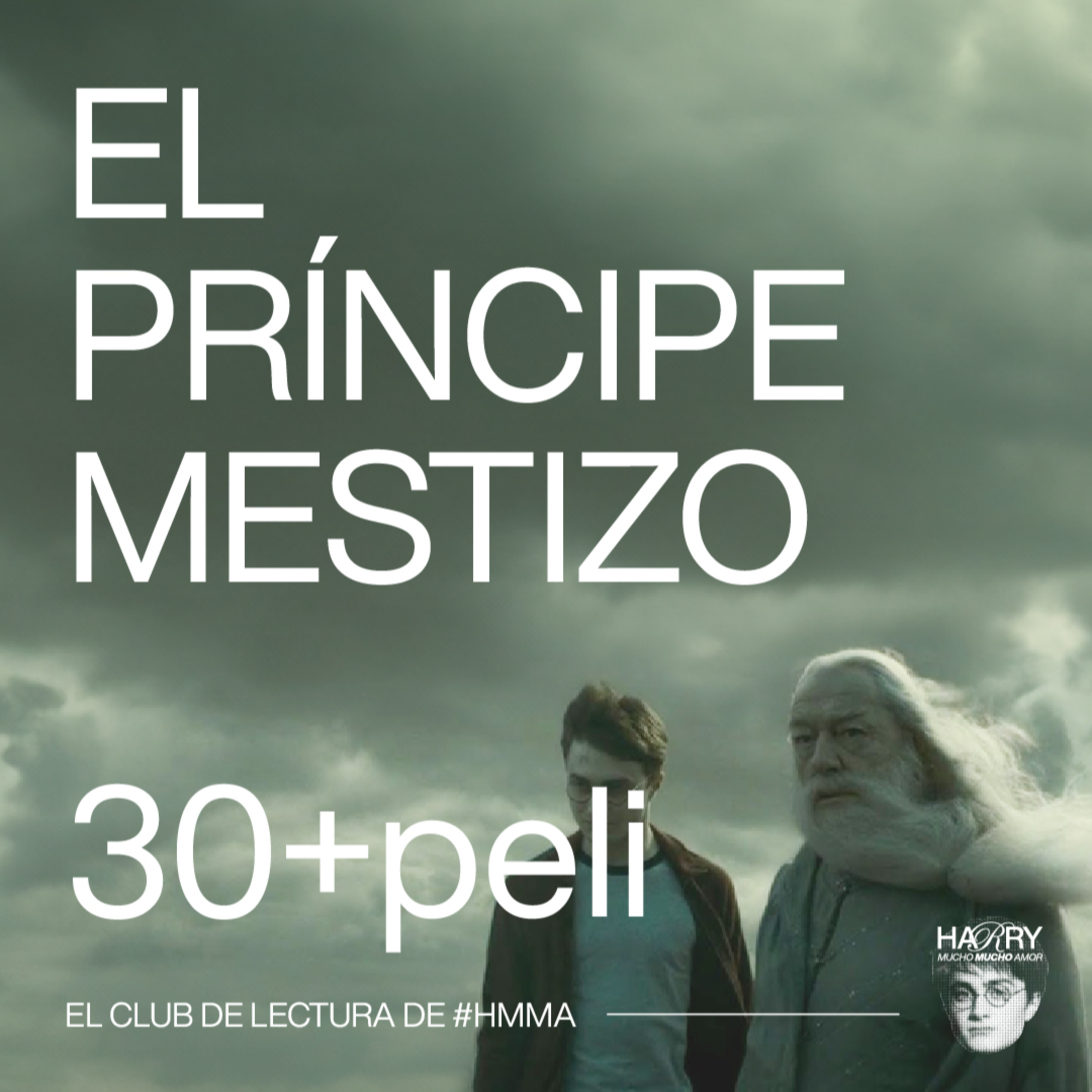 SE SEPARARON HARRY POTTER Y LA NOVIA 💌 Harry Potter y El Príncipe Mestizo | Capítulos 30 + peli 📚