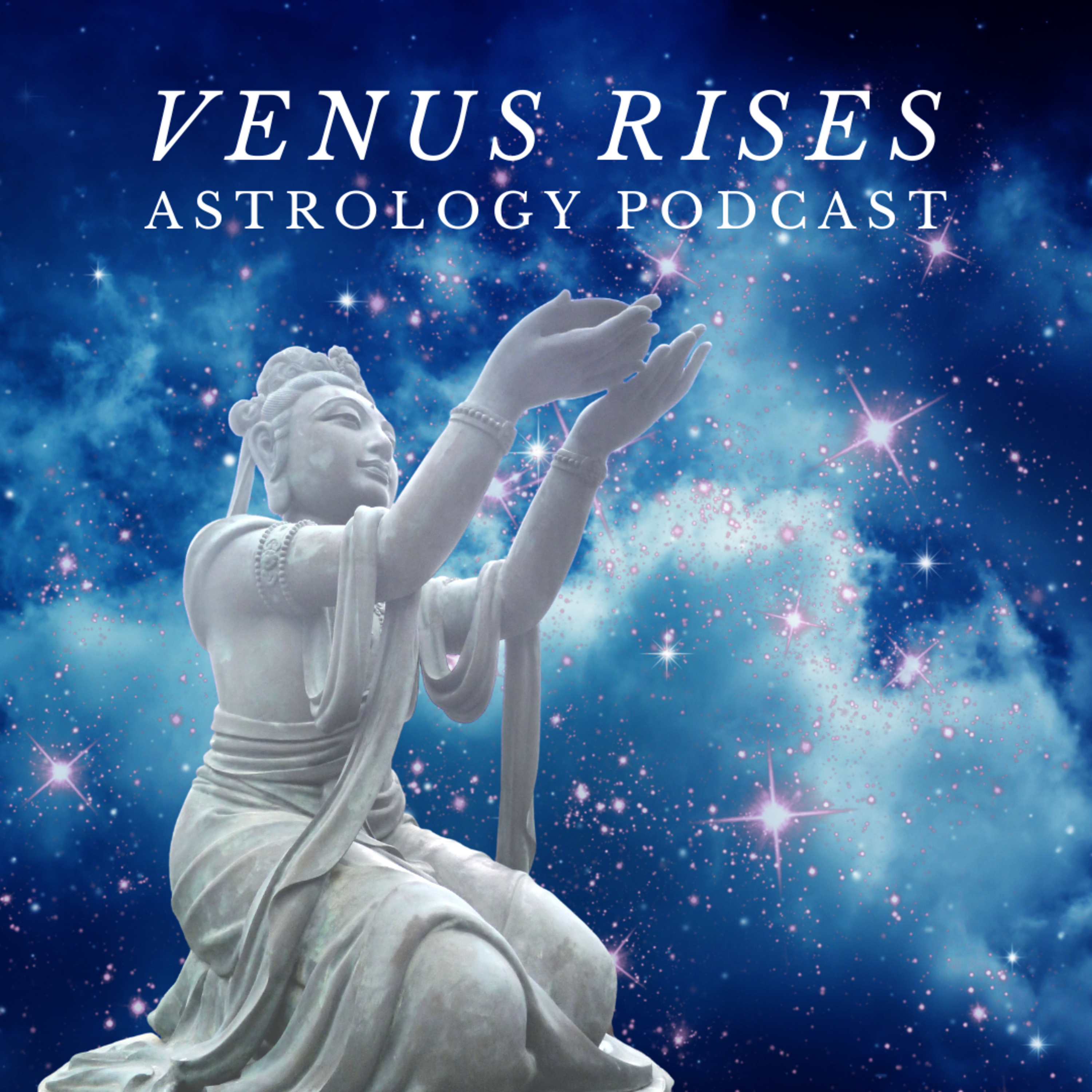 Venus Rises