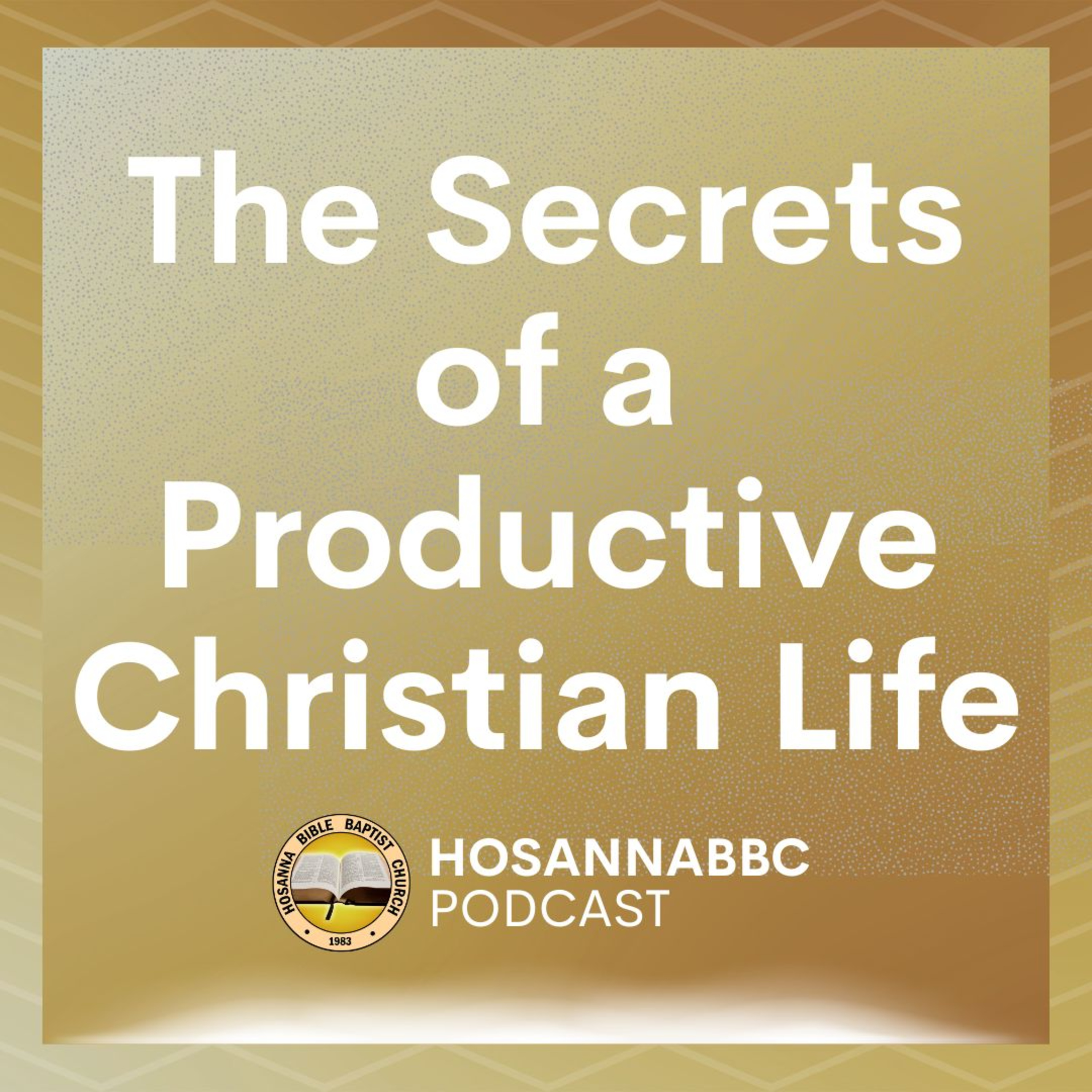 The Secrets of a Productive Christian Life - Ptr. Dennis P. Caliyo