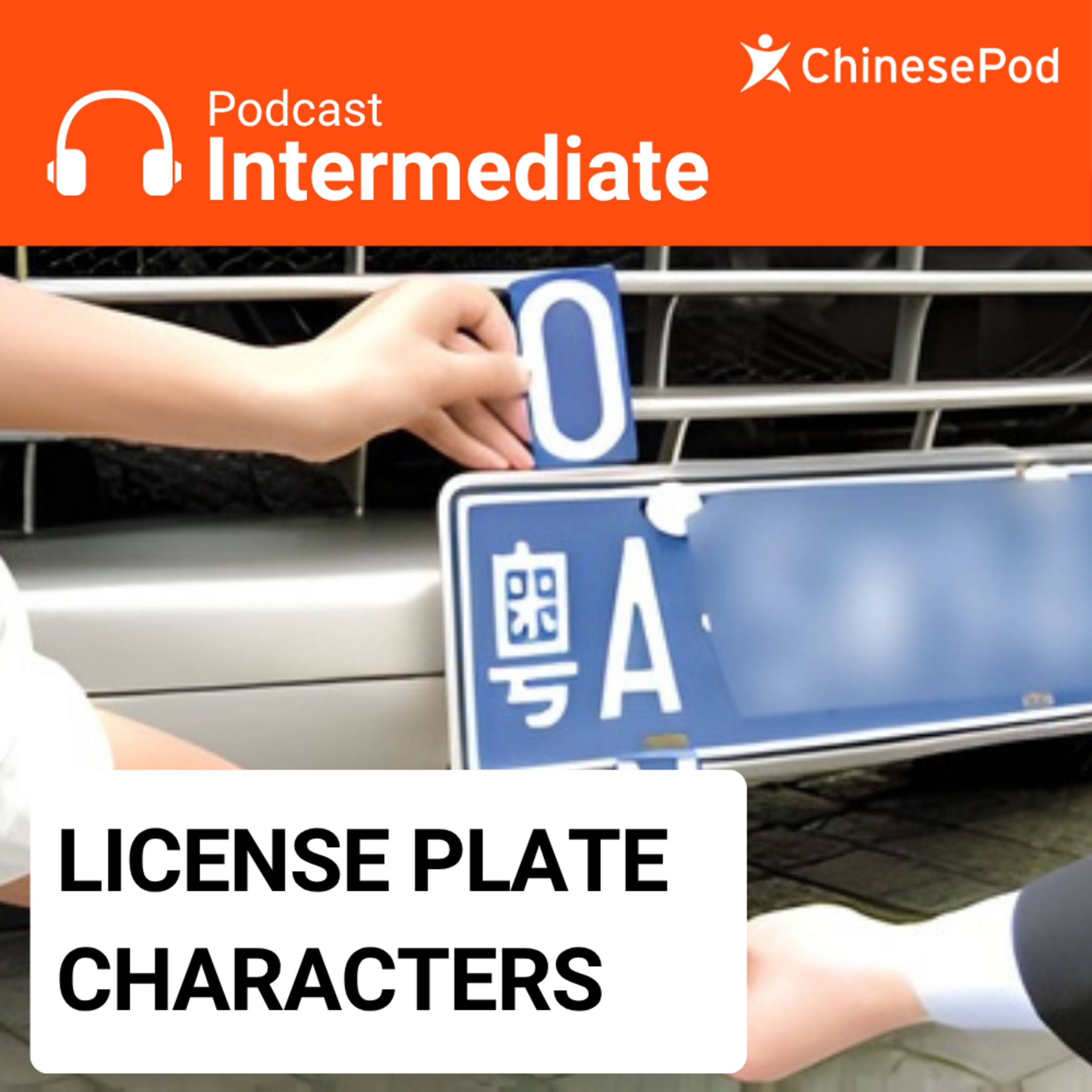 Intermediate | License Plate Characters