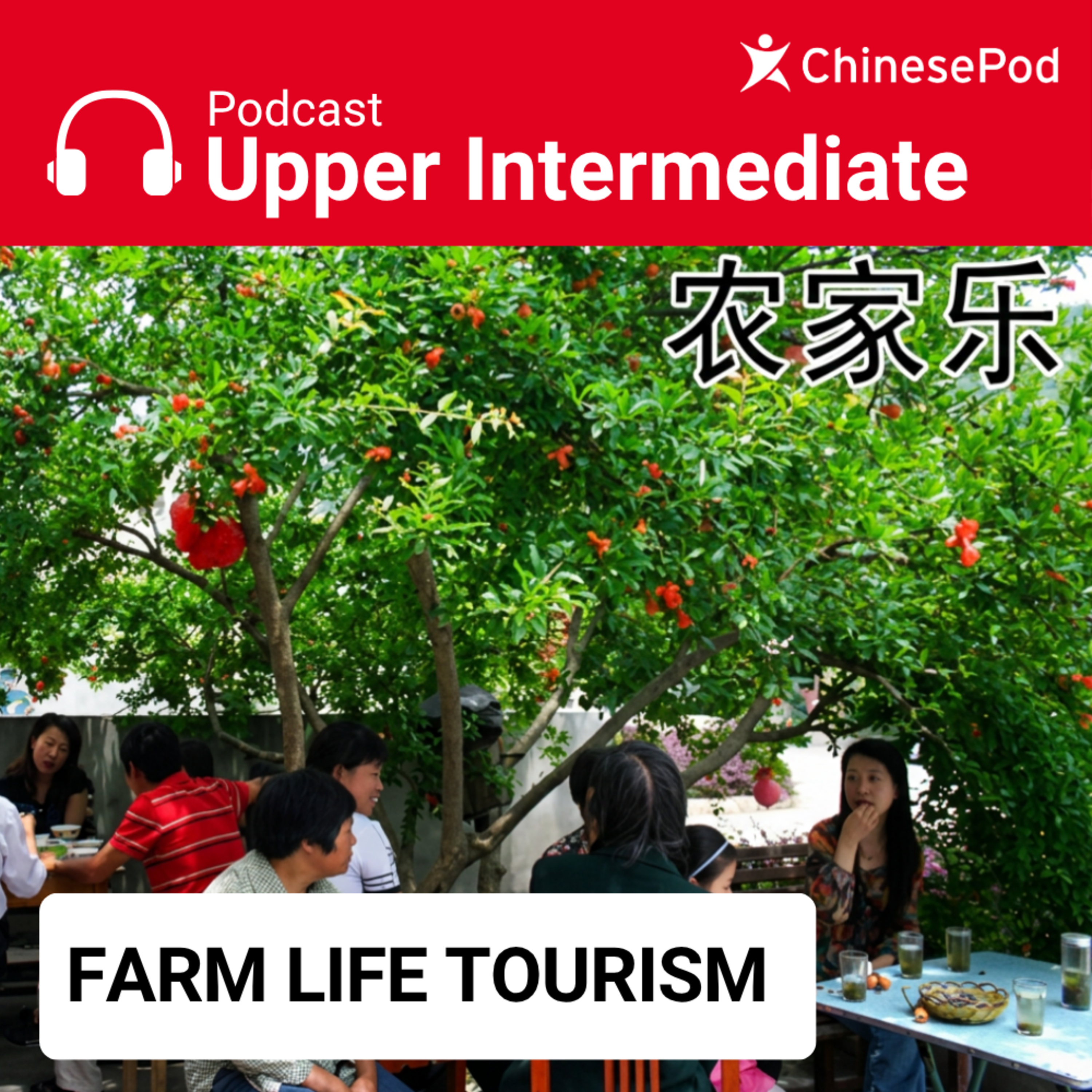 Upper-intermediate | Farm Life Tourism