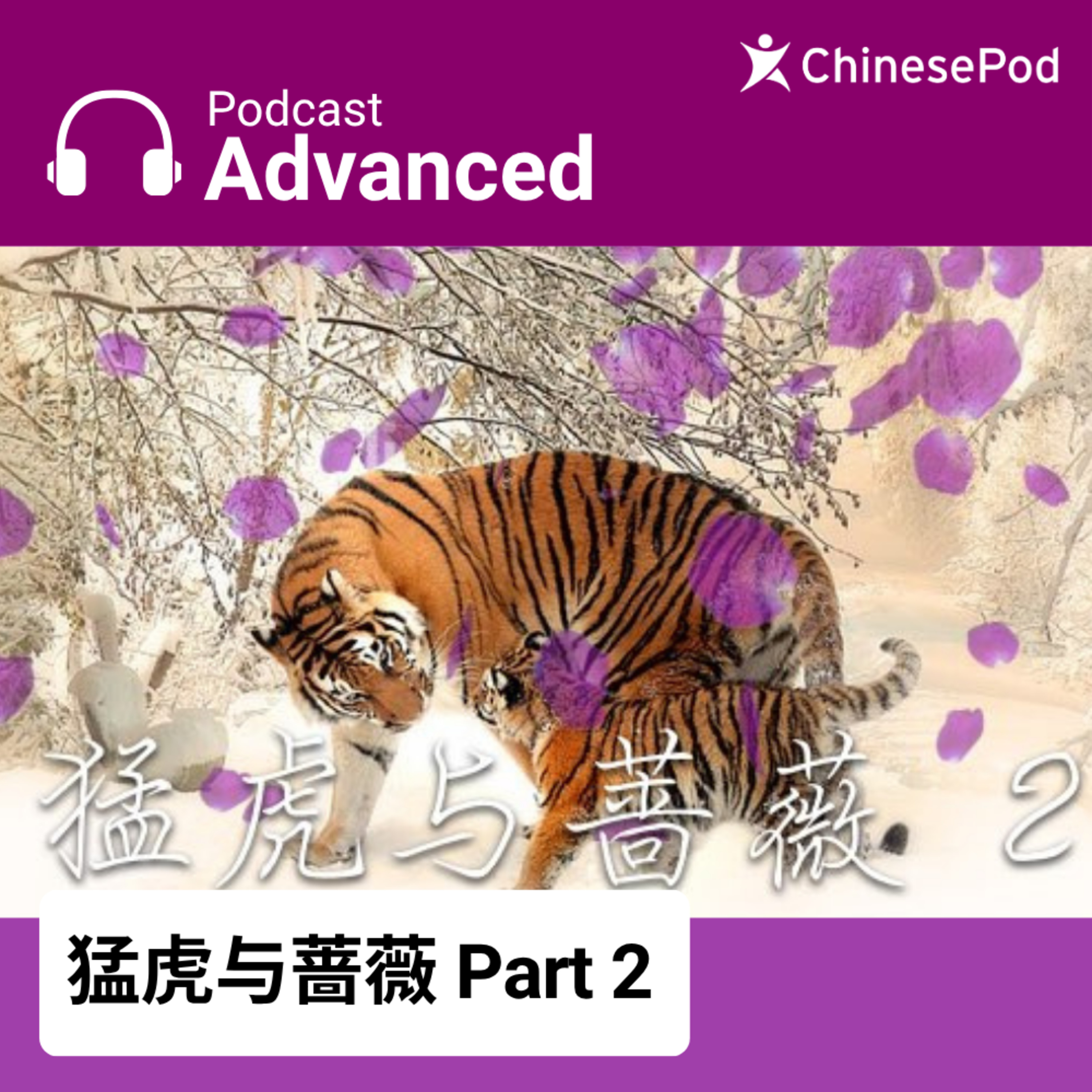 Advanced | 猛虎与蔷薇 Part 2 episode artwork