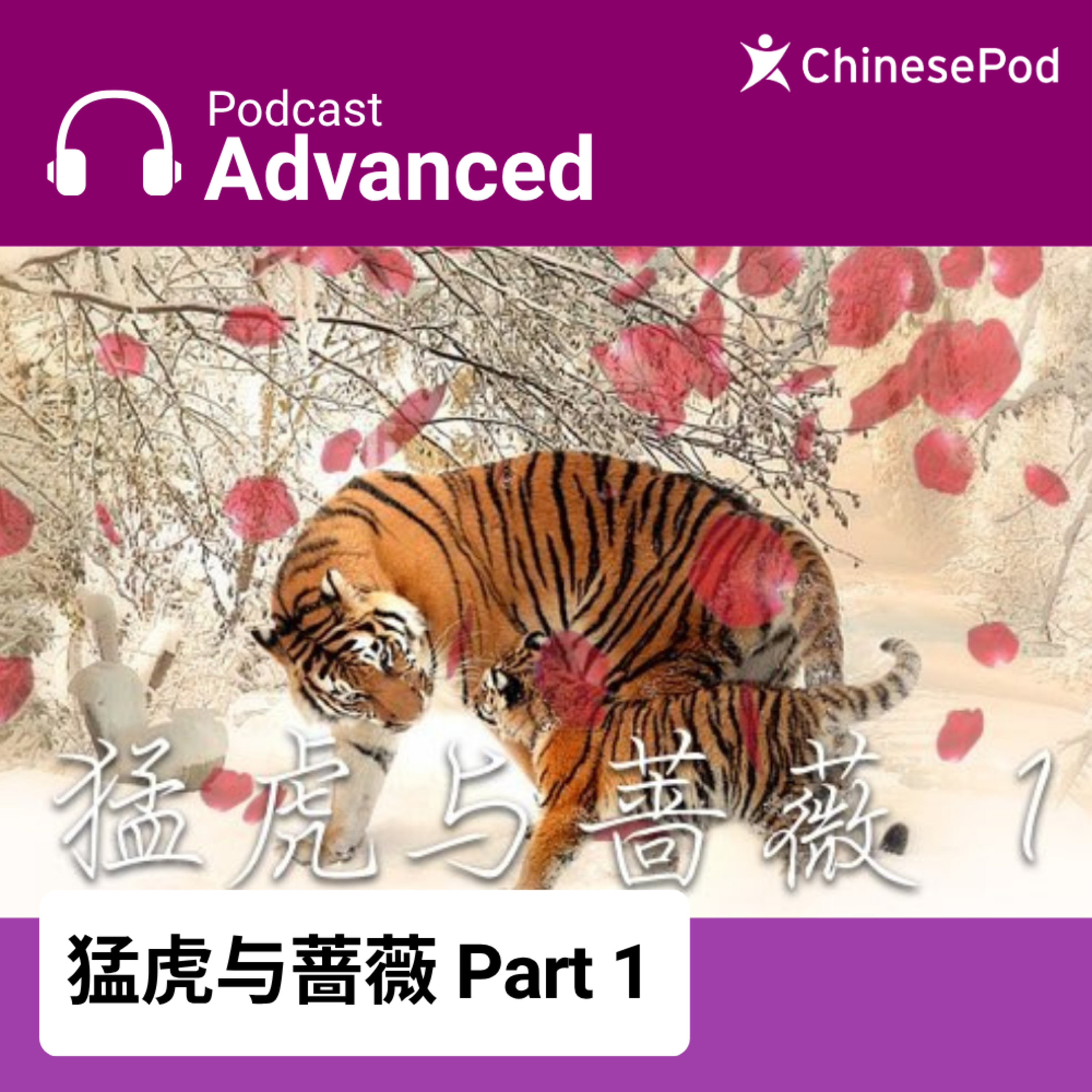 Advanced | 猛虎与蔷薇 Part 1 episode artwork