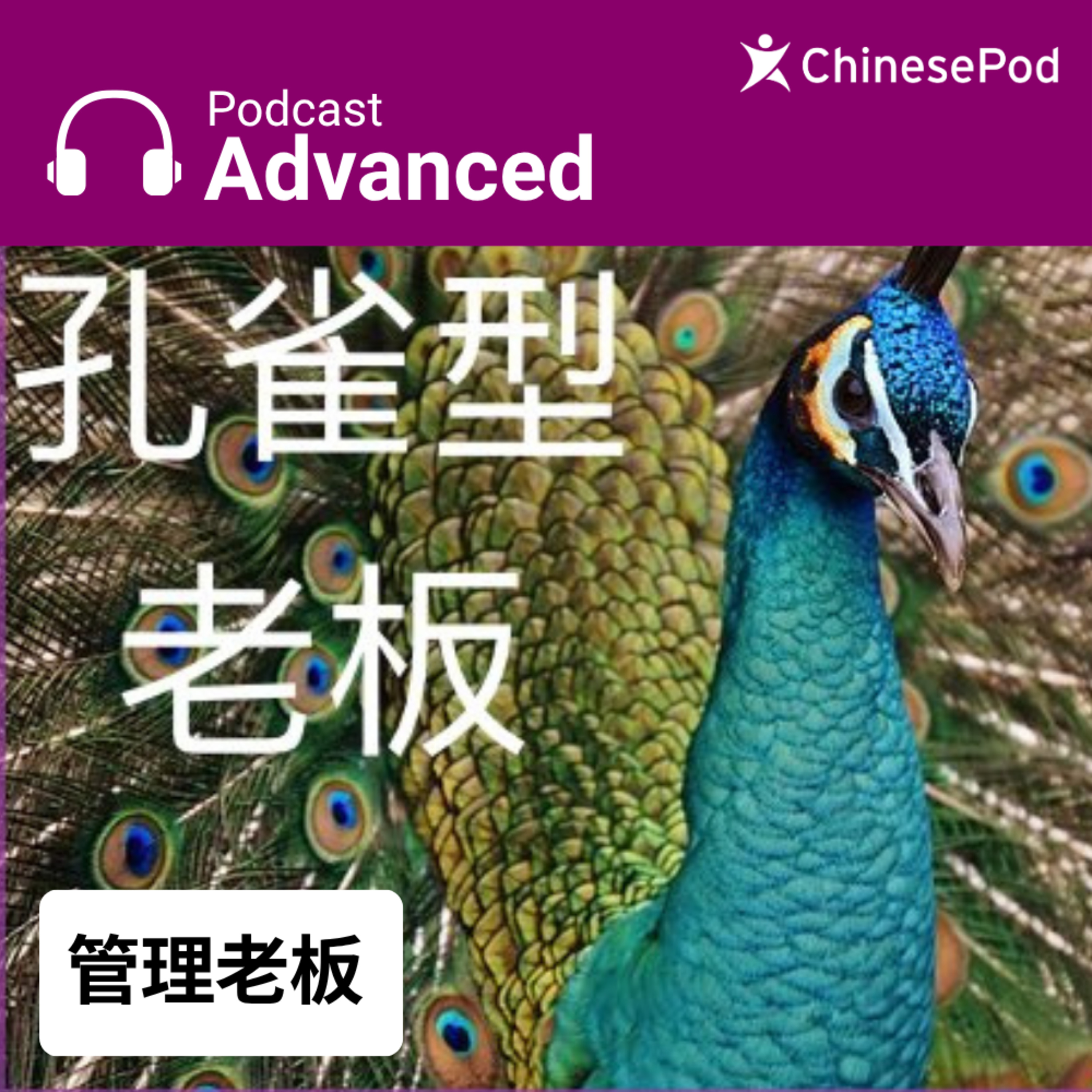 Advanced | 管理老板 episode artwork