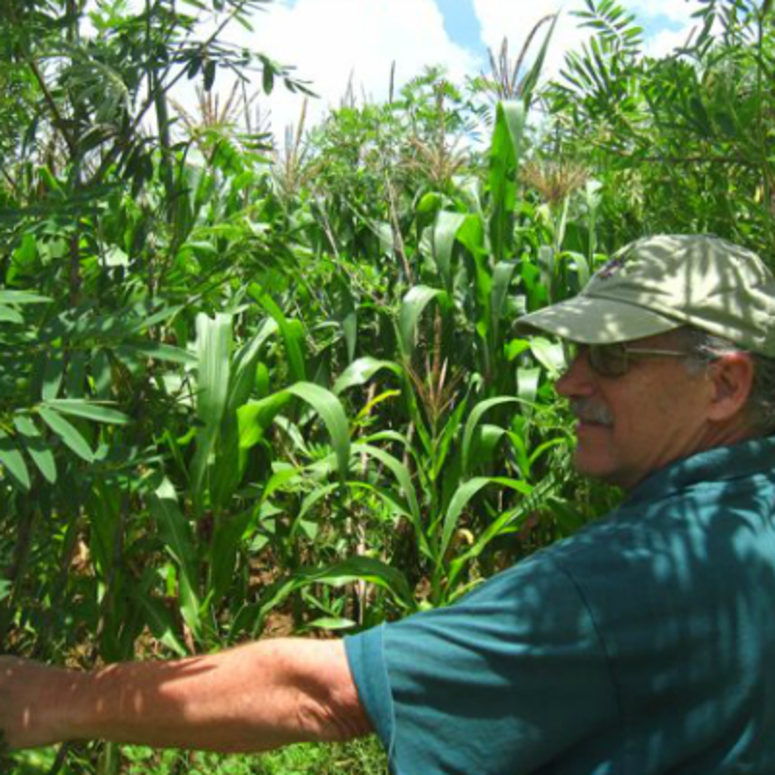 Sustainability Now! on KSQD.org