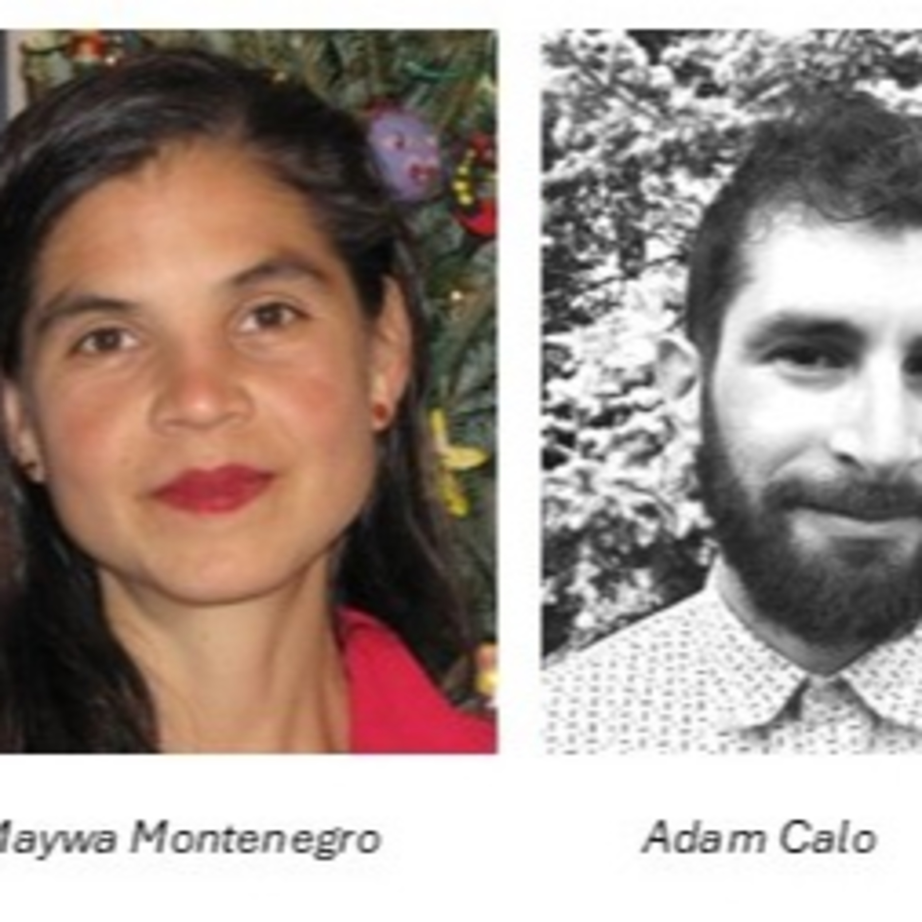 The Enduring Fantasy of ‘Feeding the World’ with Professors Adam Calo and Maywa Montenego episode artwork