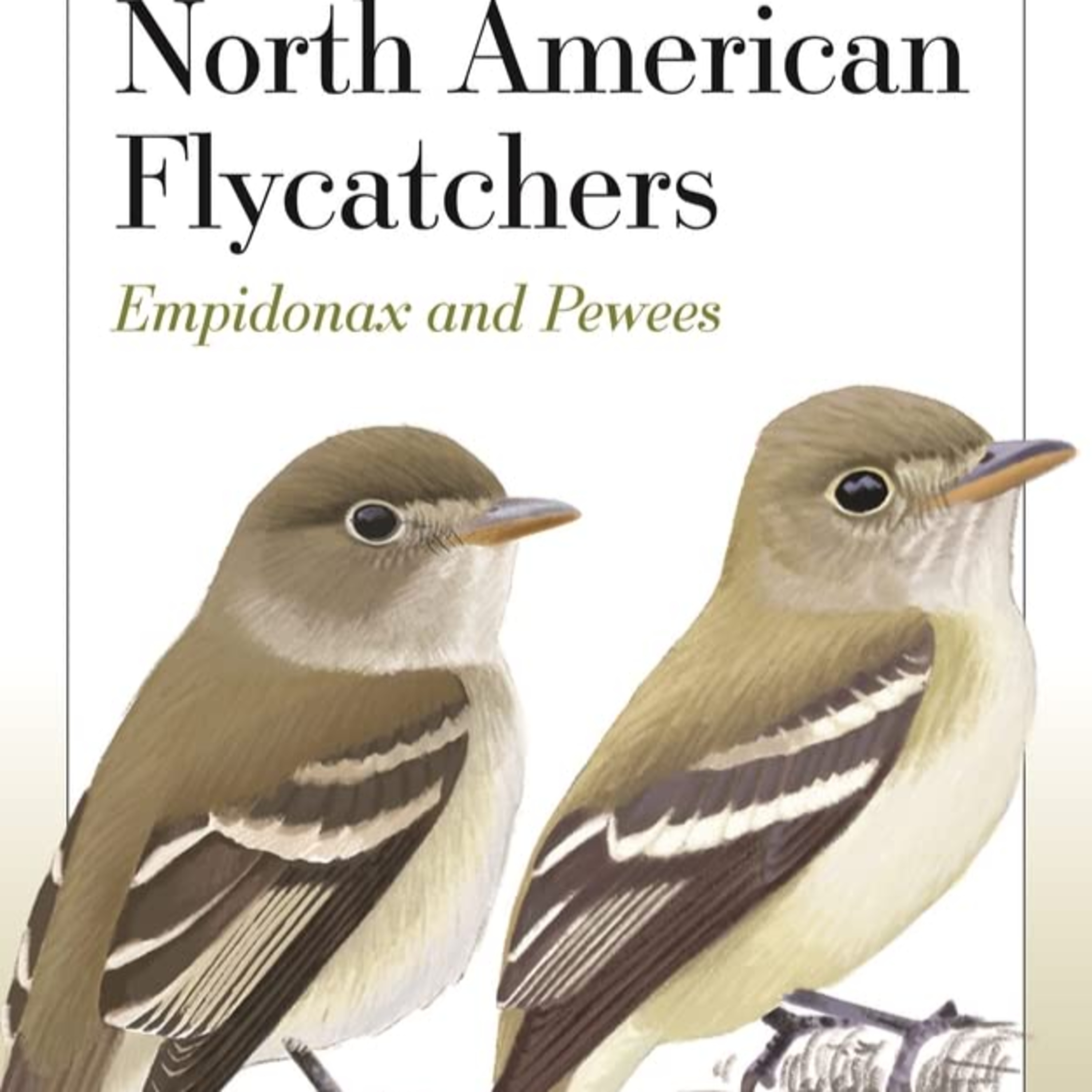 Ep. 214 : North American Flycatchers with Cin-Ty Lee and Andrew Birch episode artwork