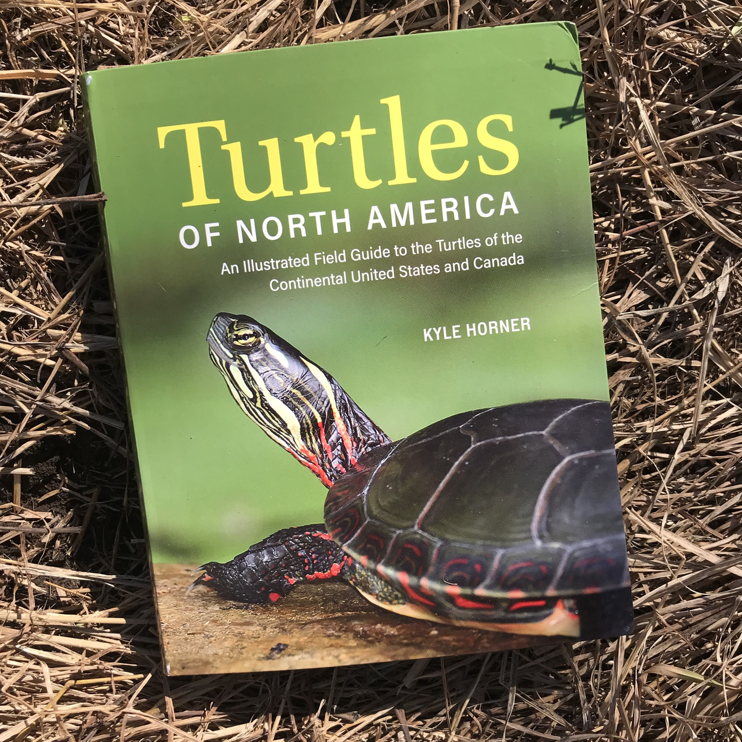 Ep. 237 : Turtles of North America With Kyle Horner (and salamander migration mini report back) episode artwork