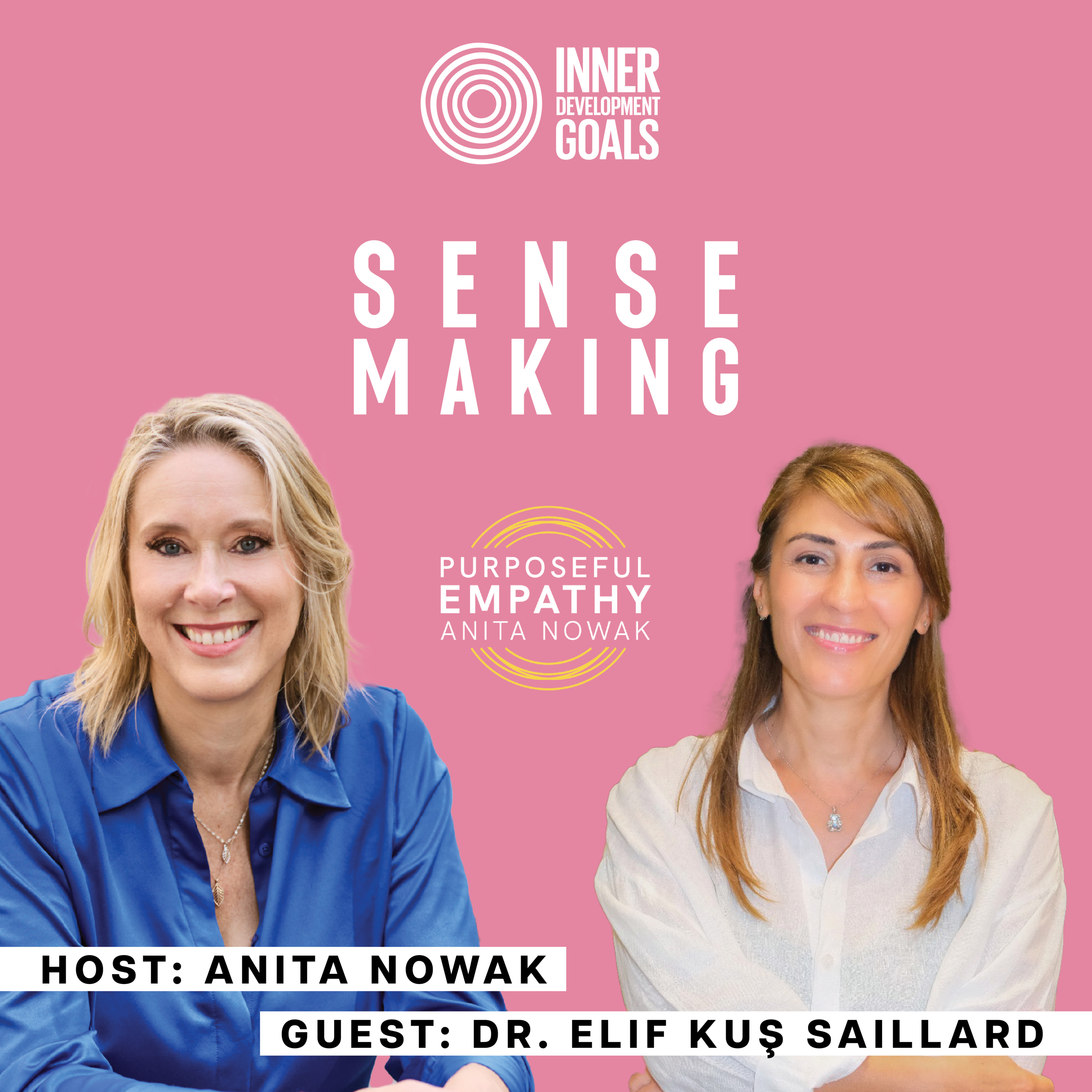 Sense-making - Ft. Dr. Elif Kuş Saillard w/Anita Nowak - Purposeful Empathy episode artwork