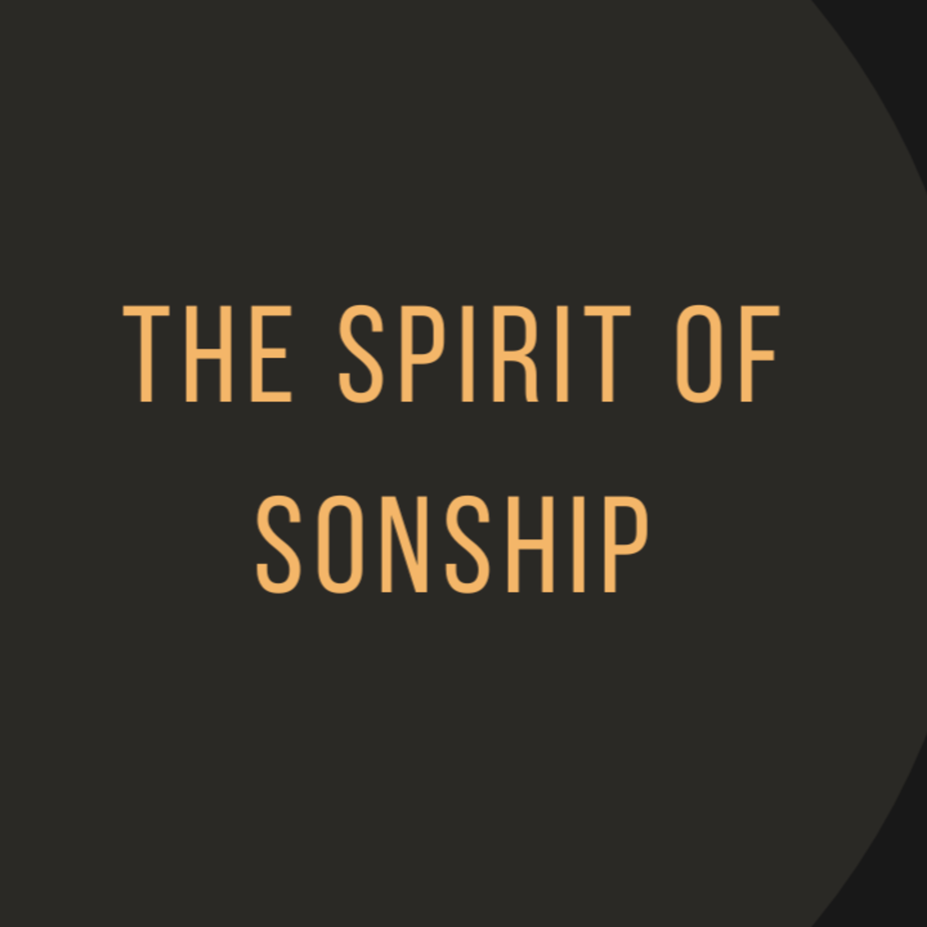 The Spirit of Sonship episode artwork