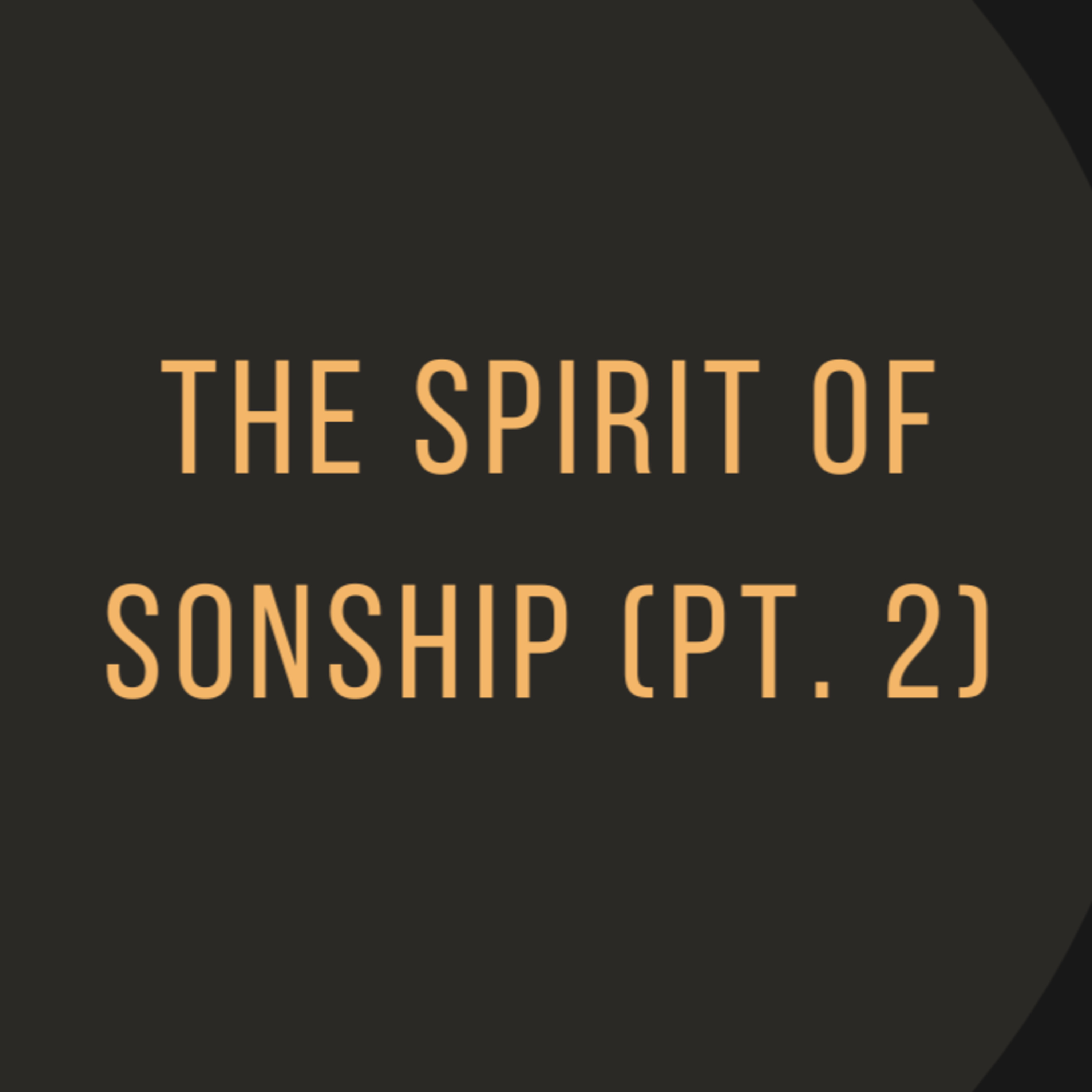 The Spirit of Sonship (Pt. 2) episode artwork