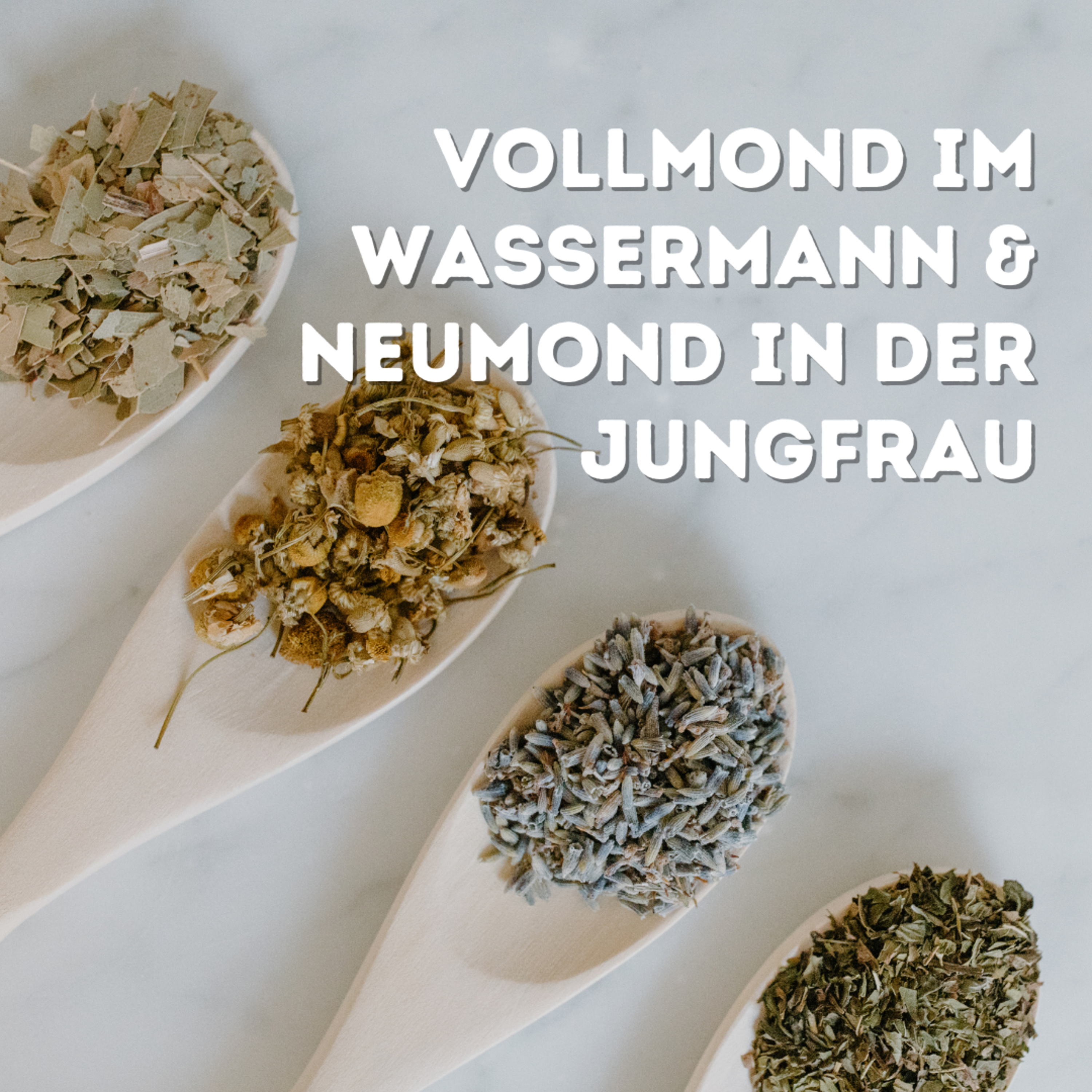 Mond-Magie: Vollmond im Wassermann zum Neumond in Jungfrau episode artwork