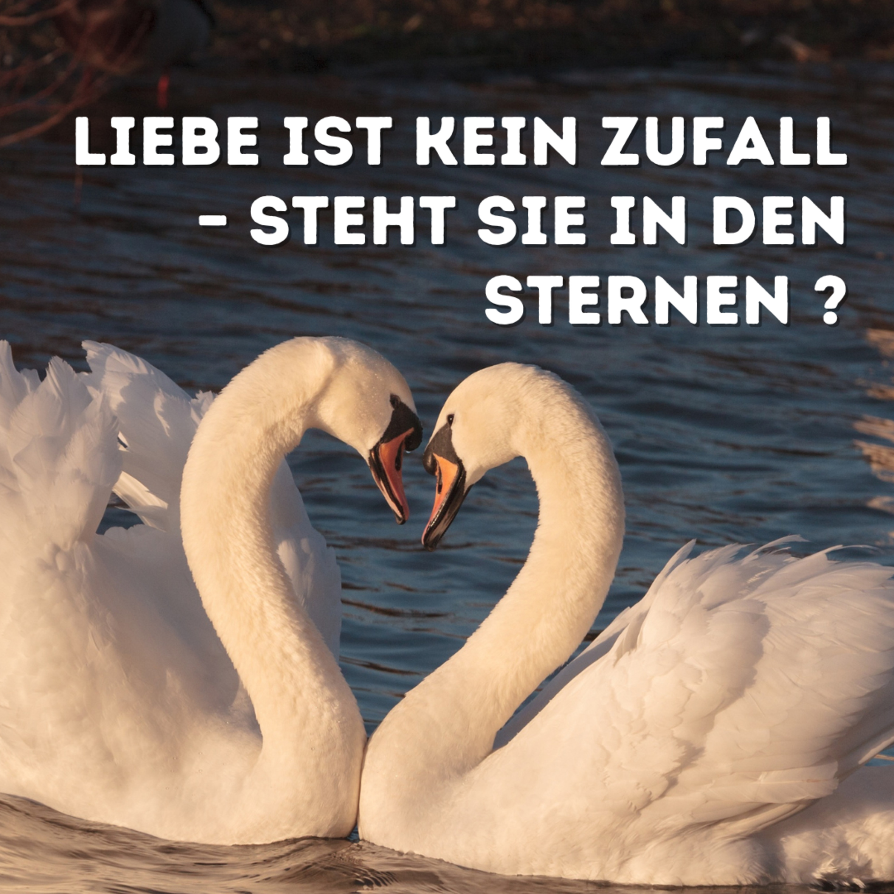 Liebe ist kein Zufall – sie steht in den Sternen (oder doch nicht?)  episode artwork