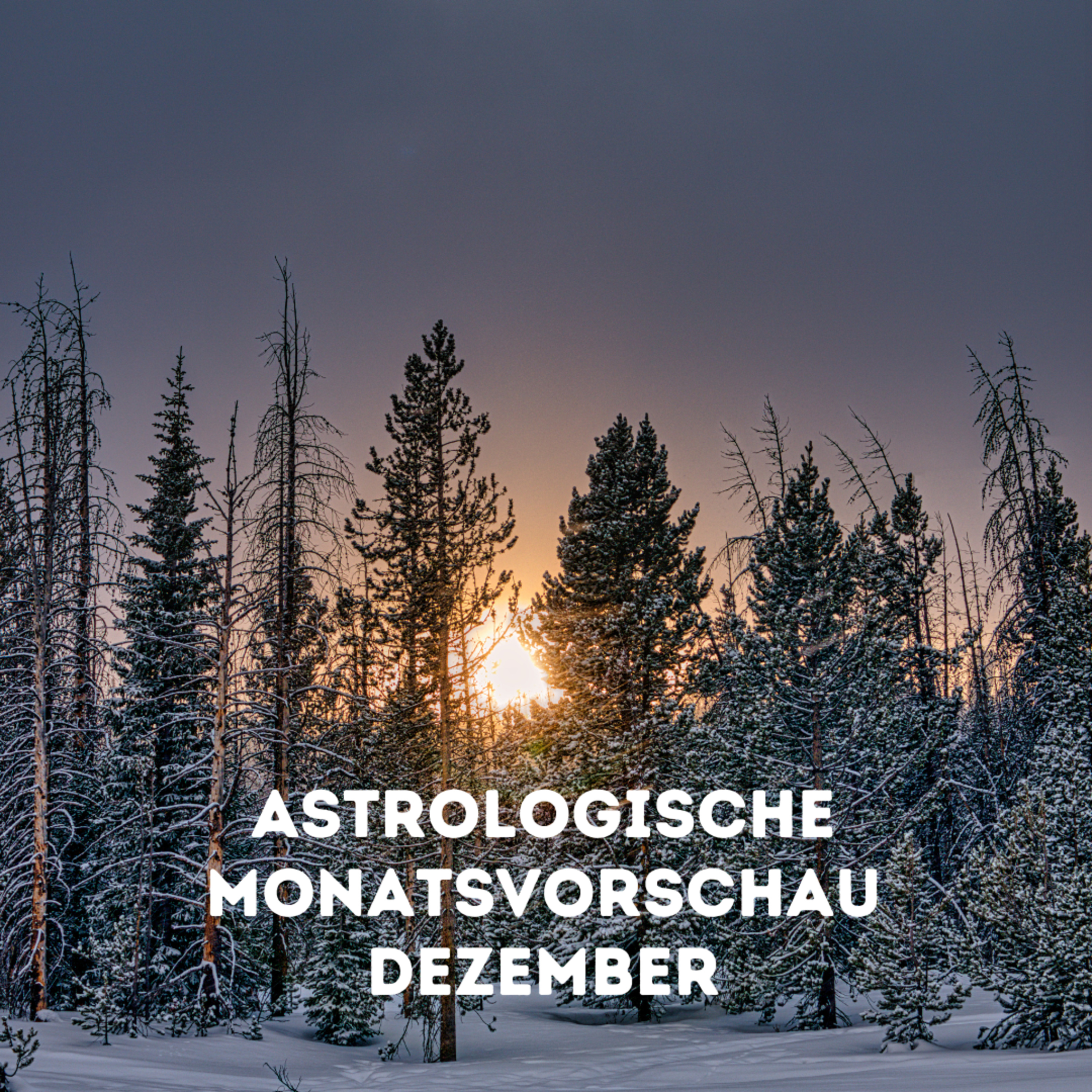 Dezember Magie : deine astrologische Monatsvorschau episode artwork
