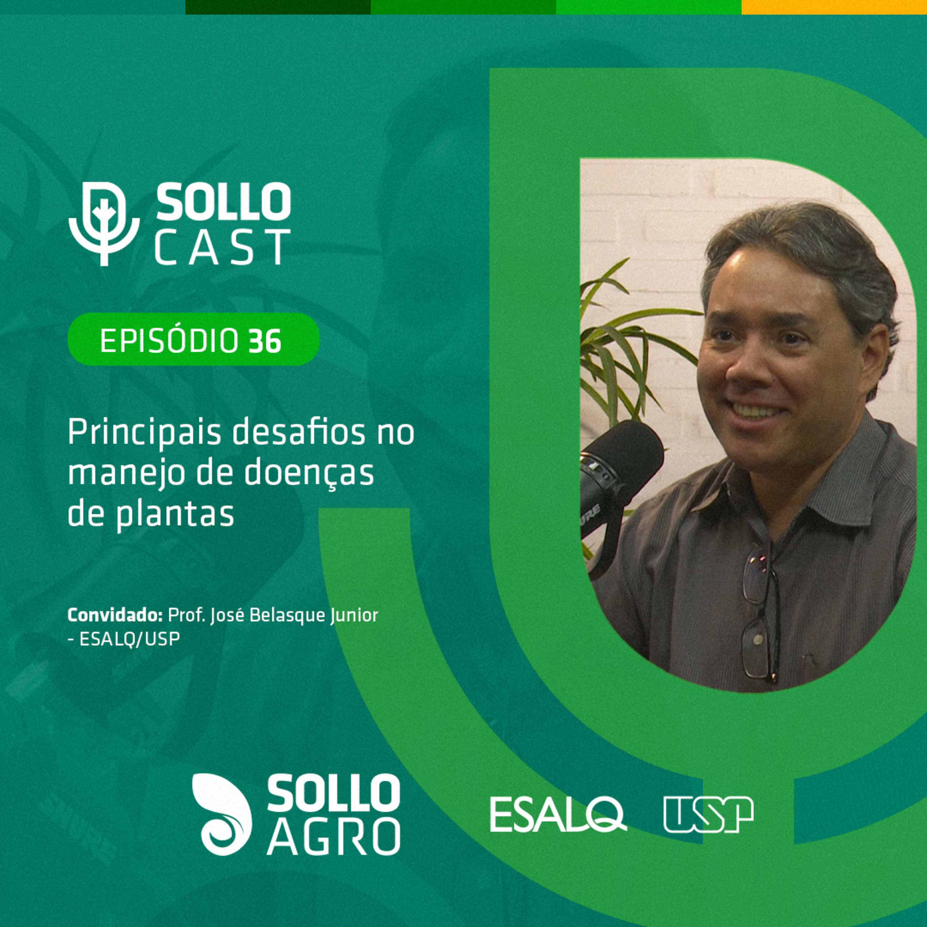 #36 - PRINCIPAIS DESAFIOS NO MANEJO DE DOENÇAS DE PLANTAS - José Belasque Junior