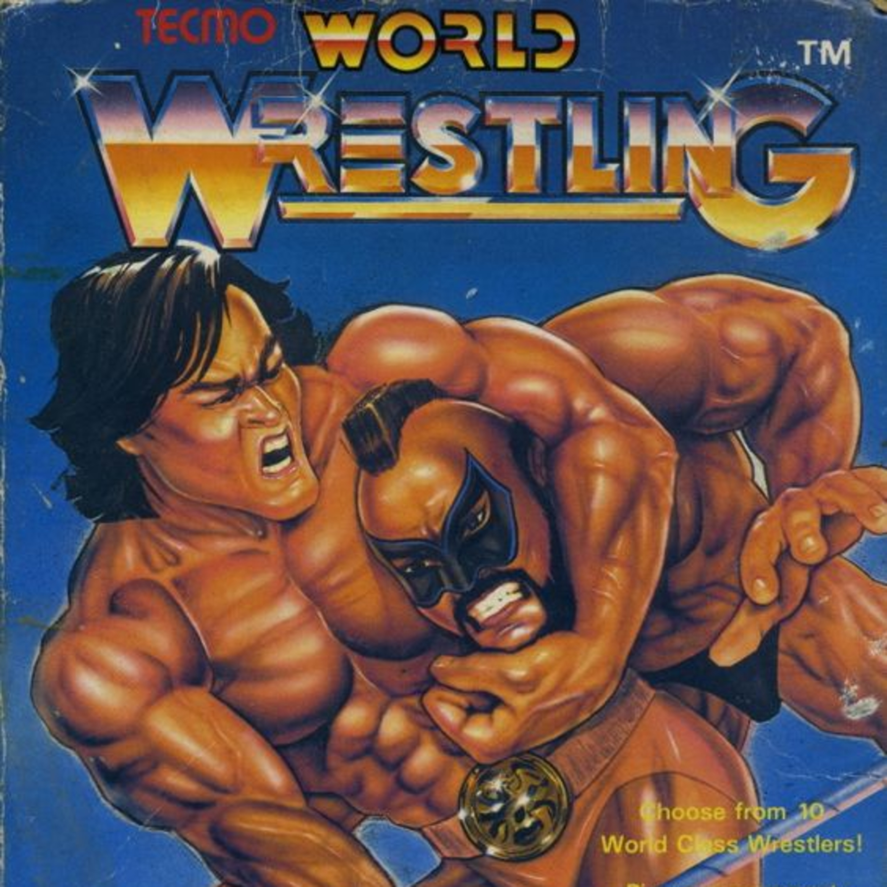 304 - Tecmo World Wrestling