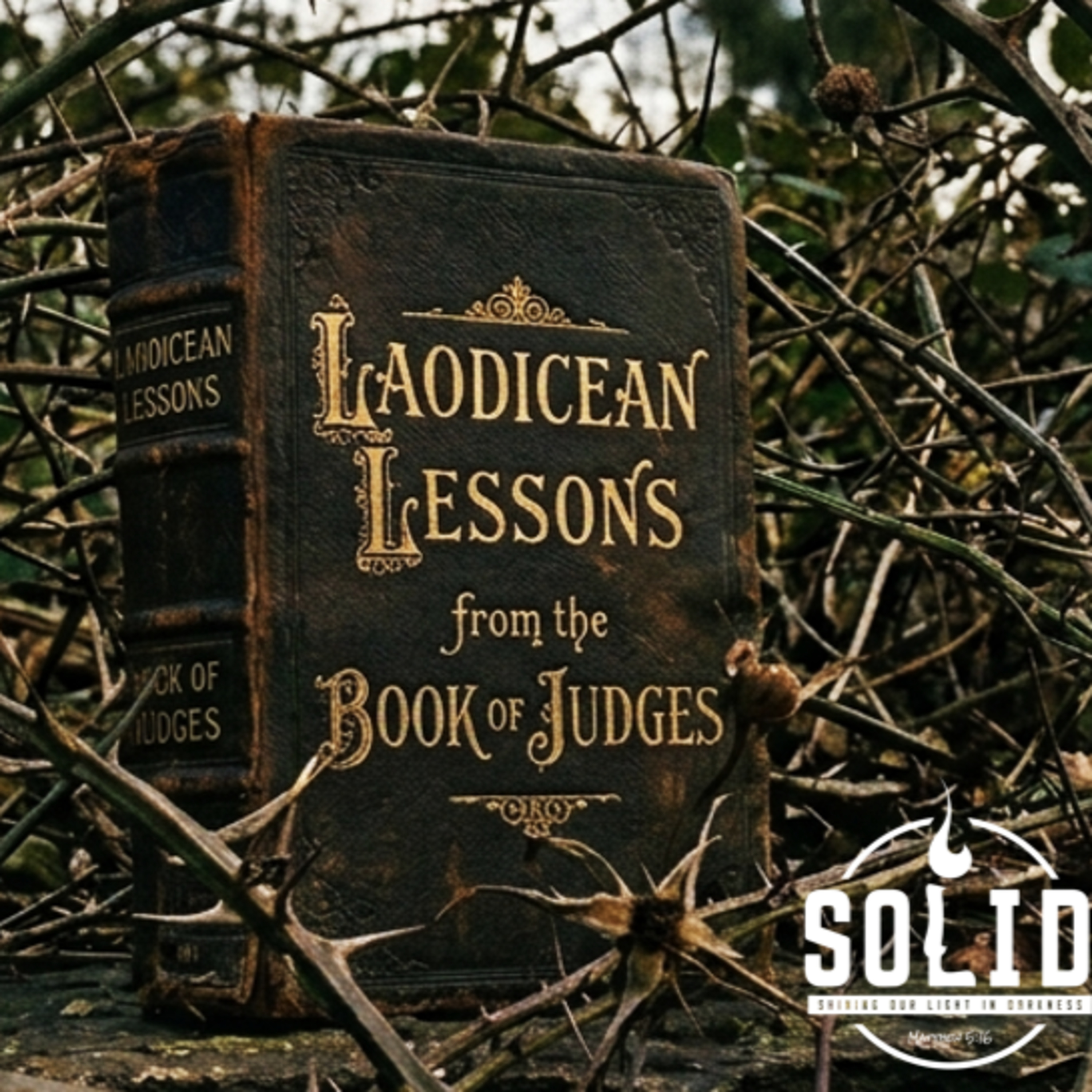 Laodicean Lessons from the Book of Judges: From Complacency to Compromise, pt 3 episode artwork