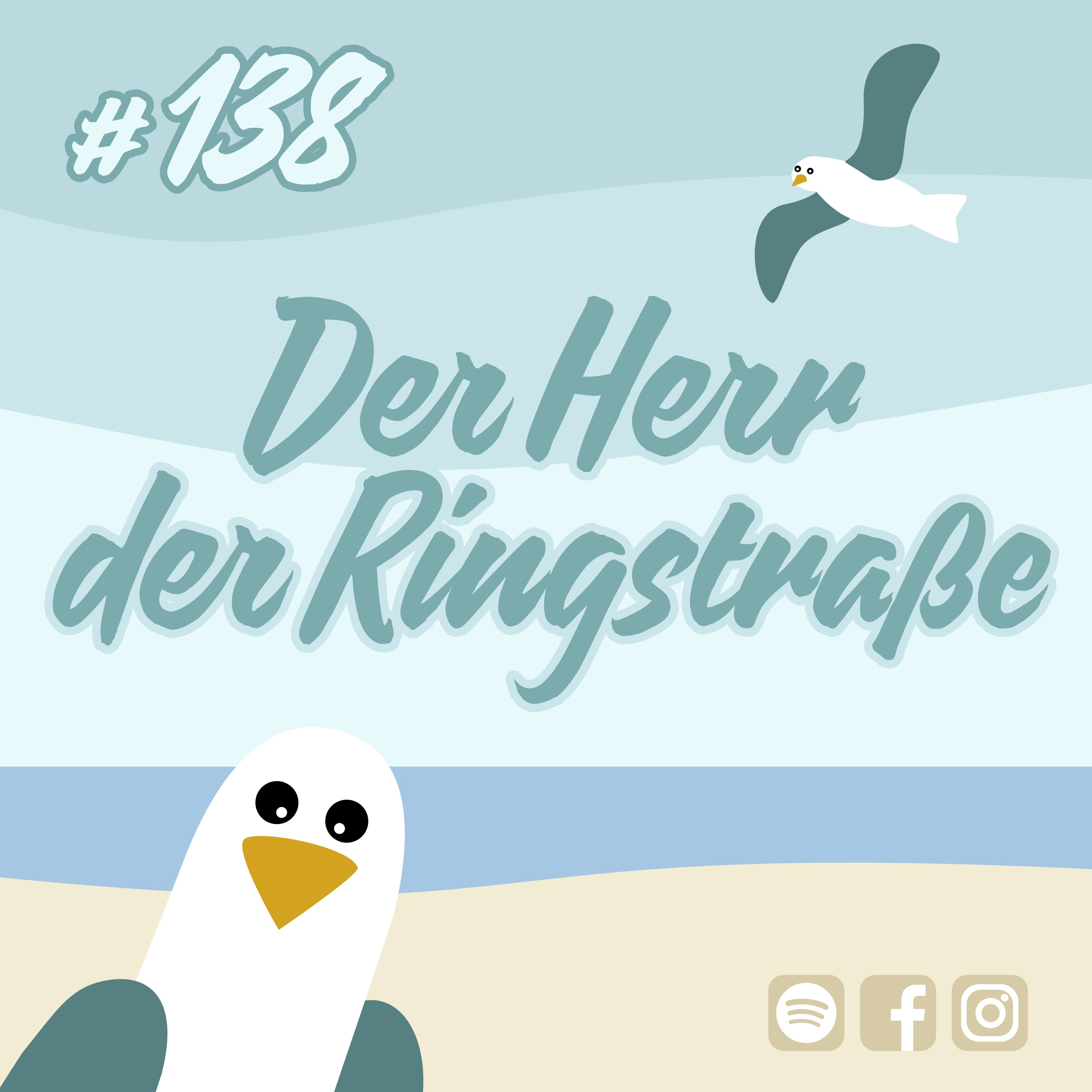 Möwenschiet