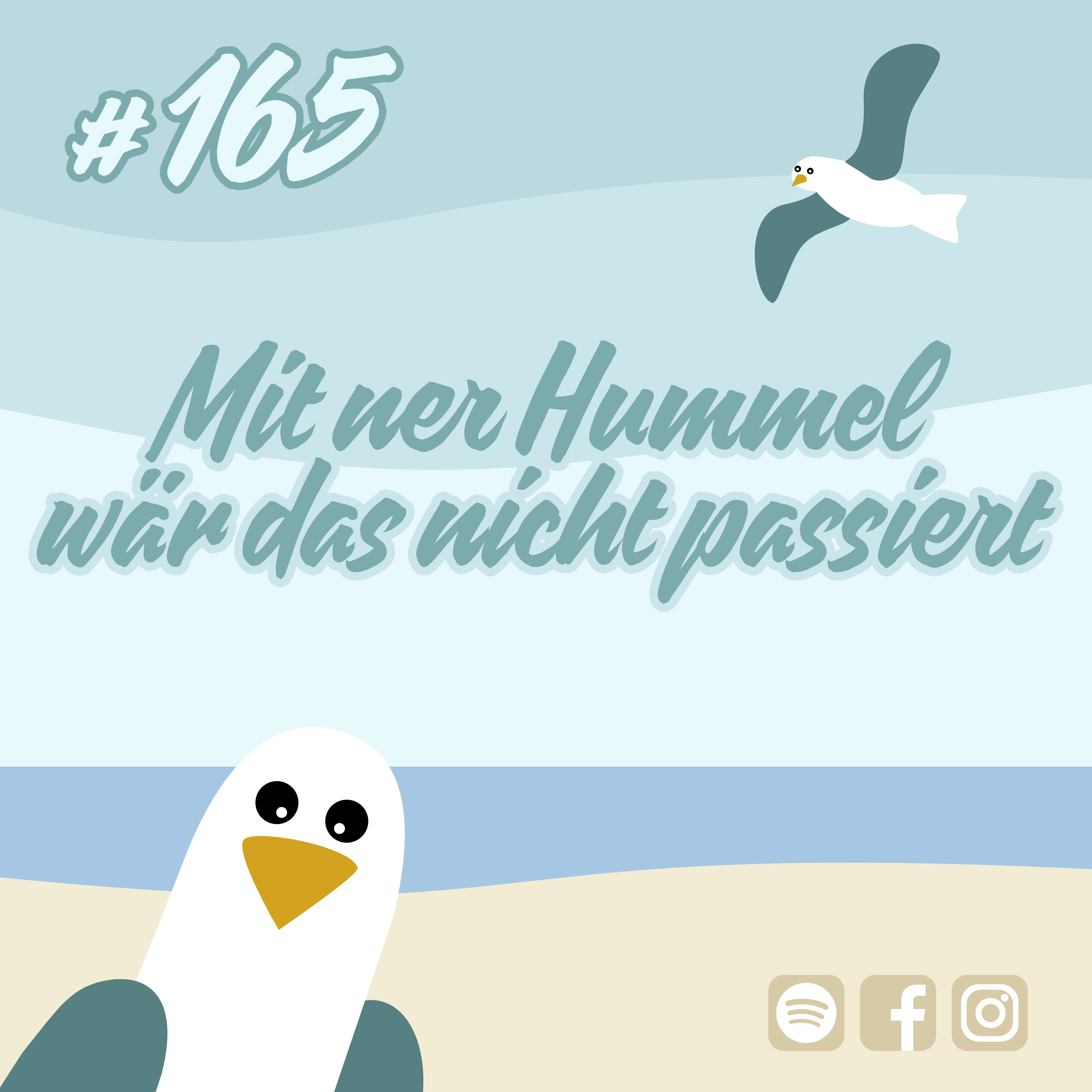 #165 Mit ner Hummel wär das nicht passiert episode artwork