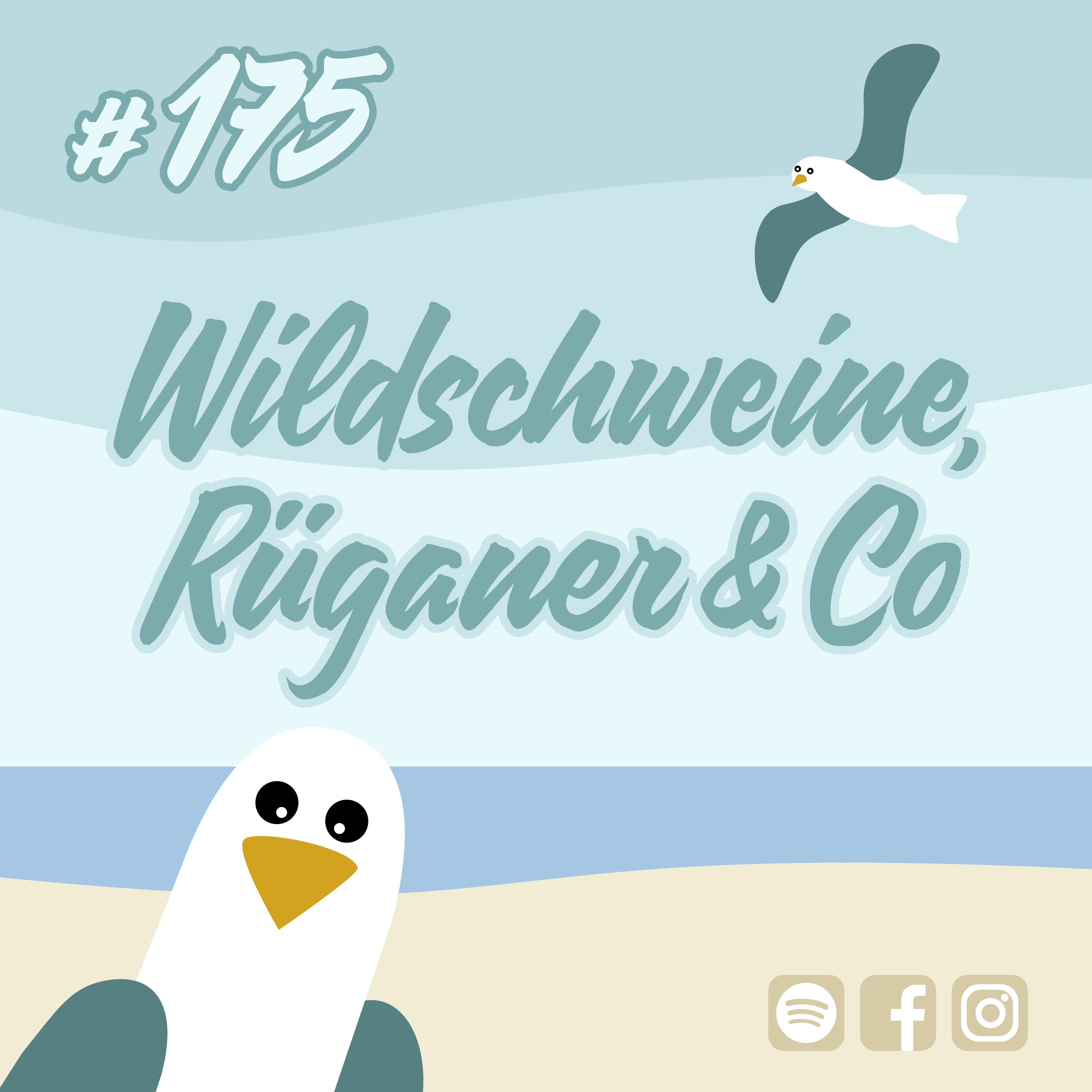 #175 Wildschweine, Rüganer & Co episode artwork