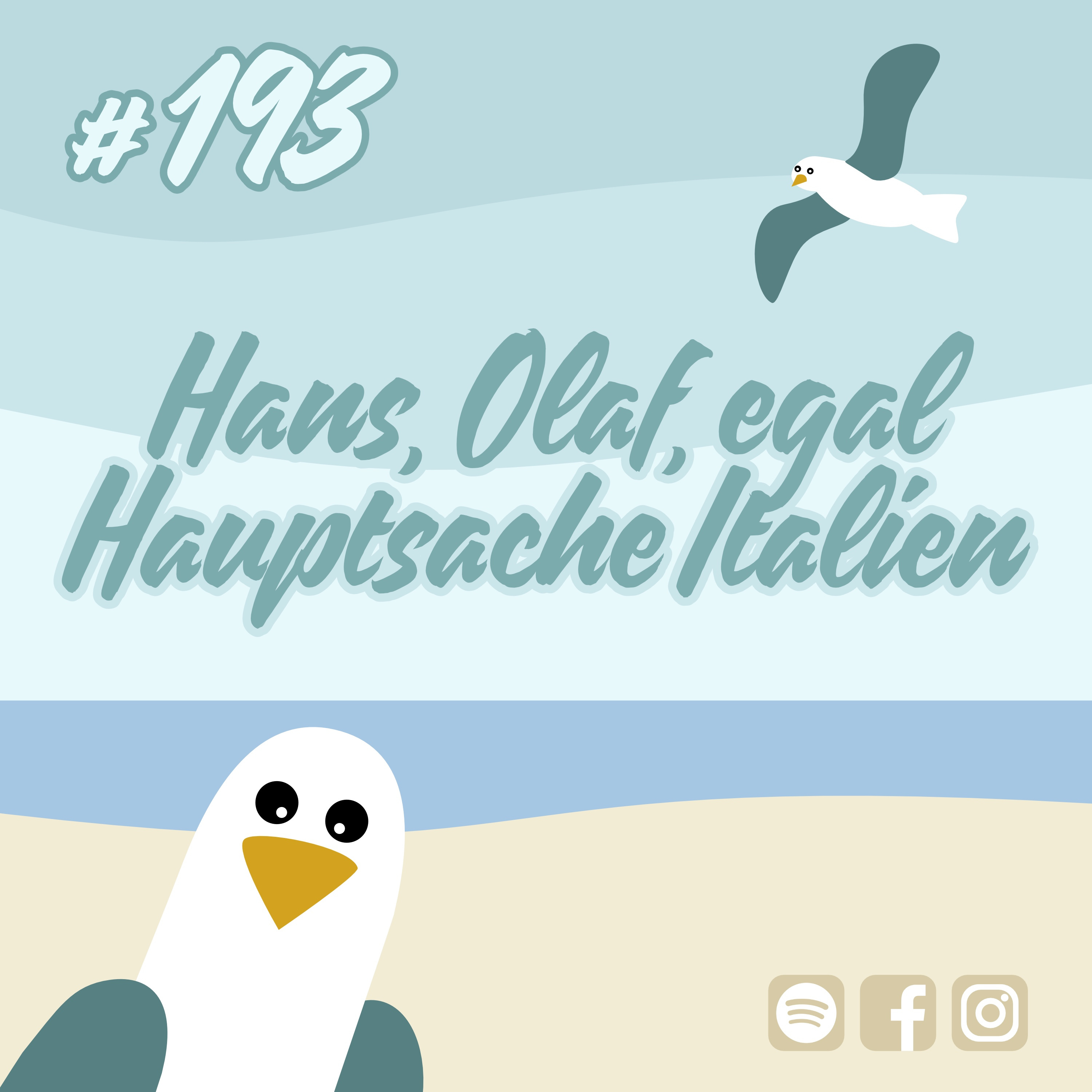Möwenschiet