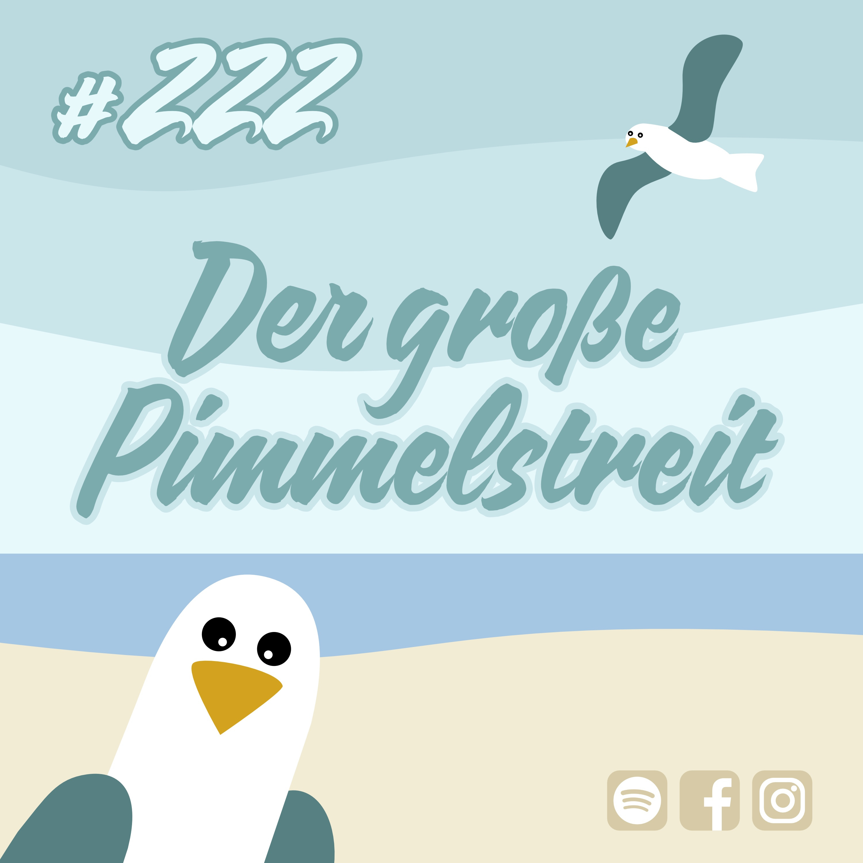 #222 Der große Pimmelstreit episode artwork