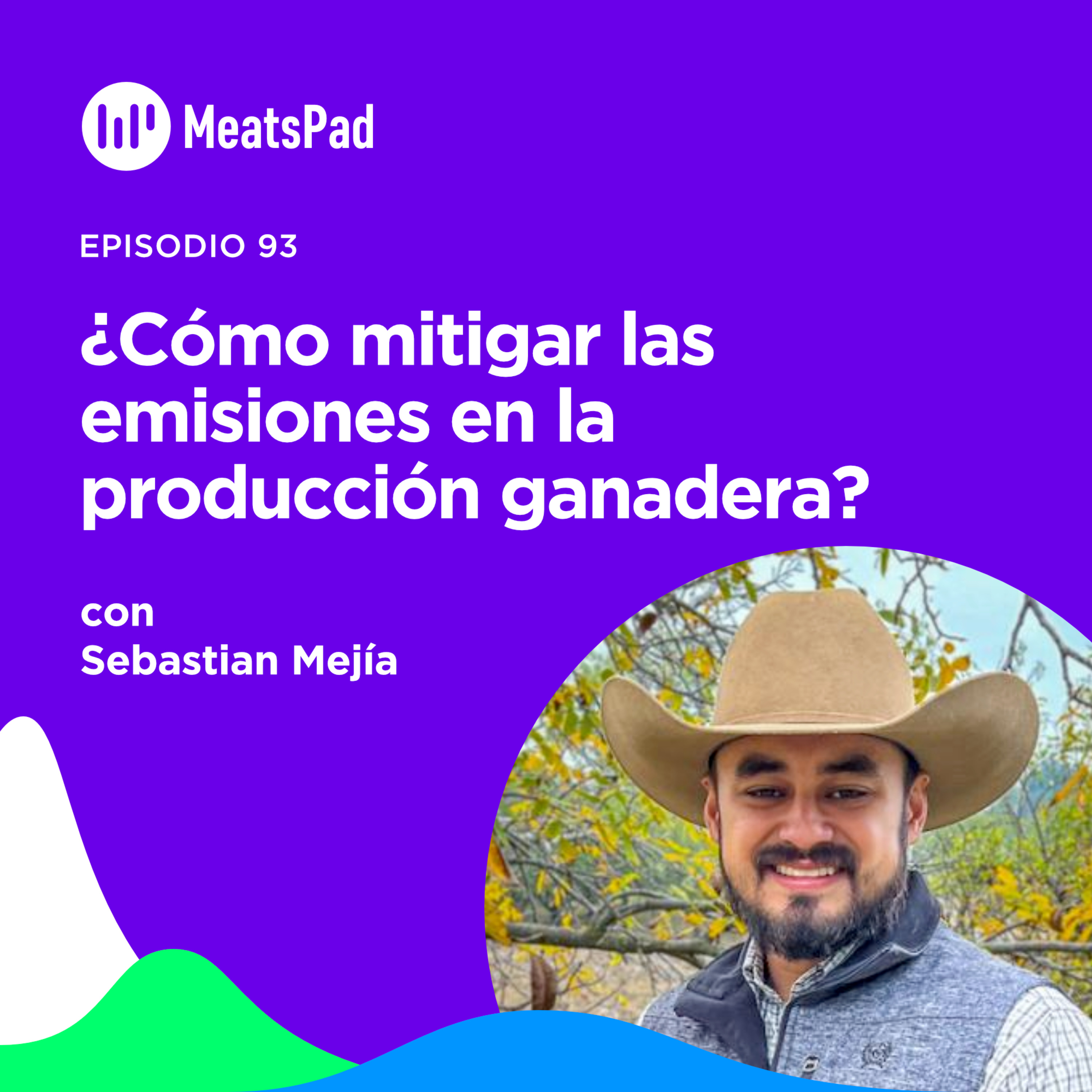 Portada de MeatsPad Esp