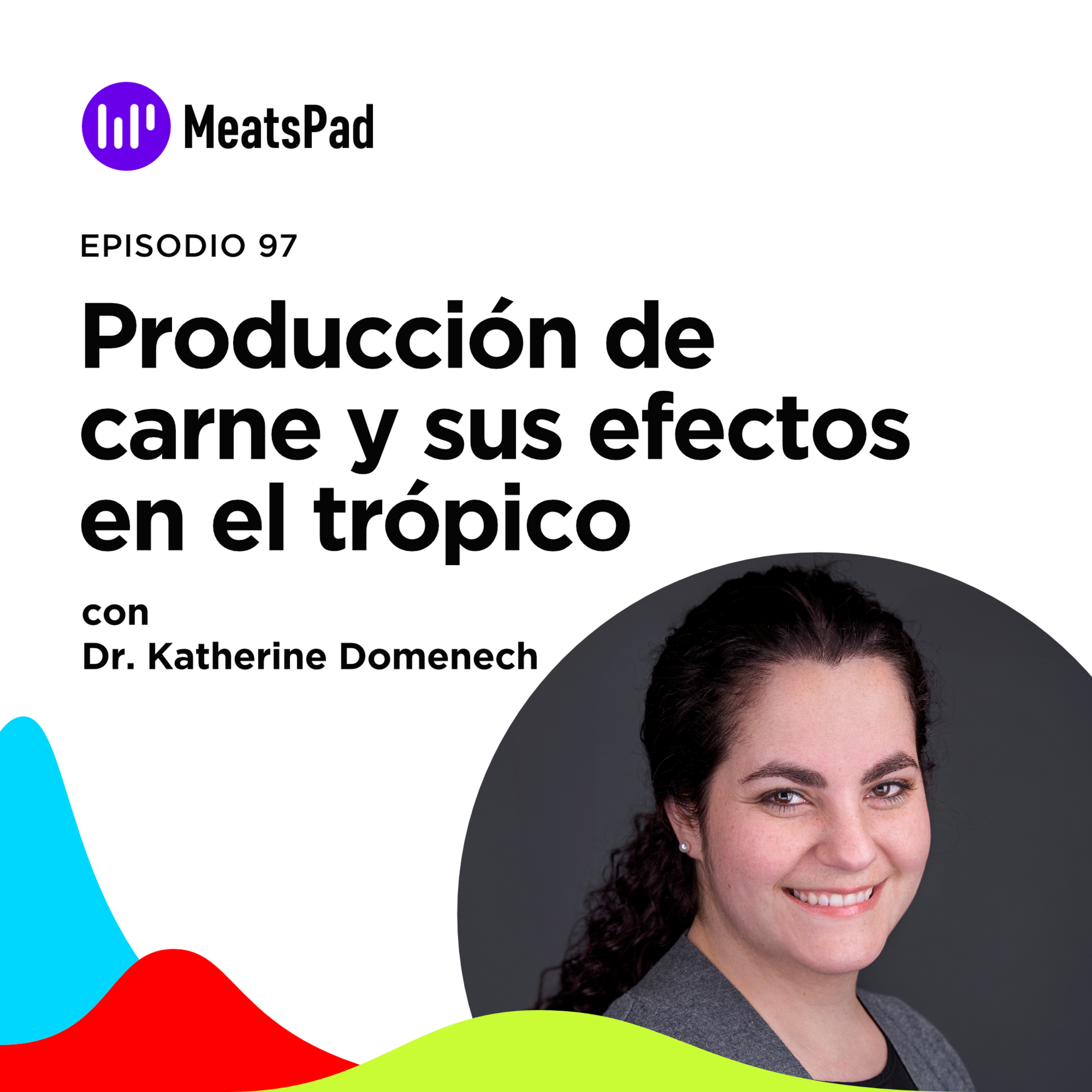 Portada de MeatsPad Esp
