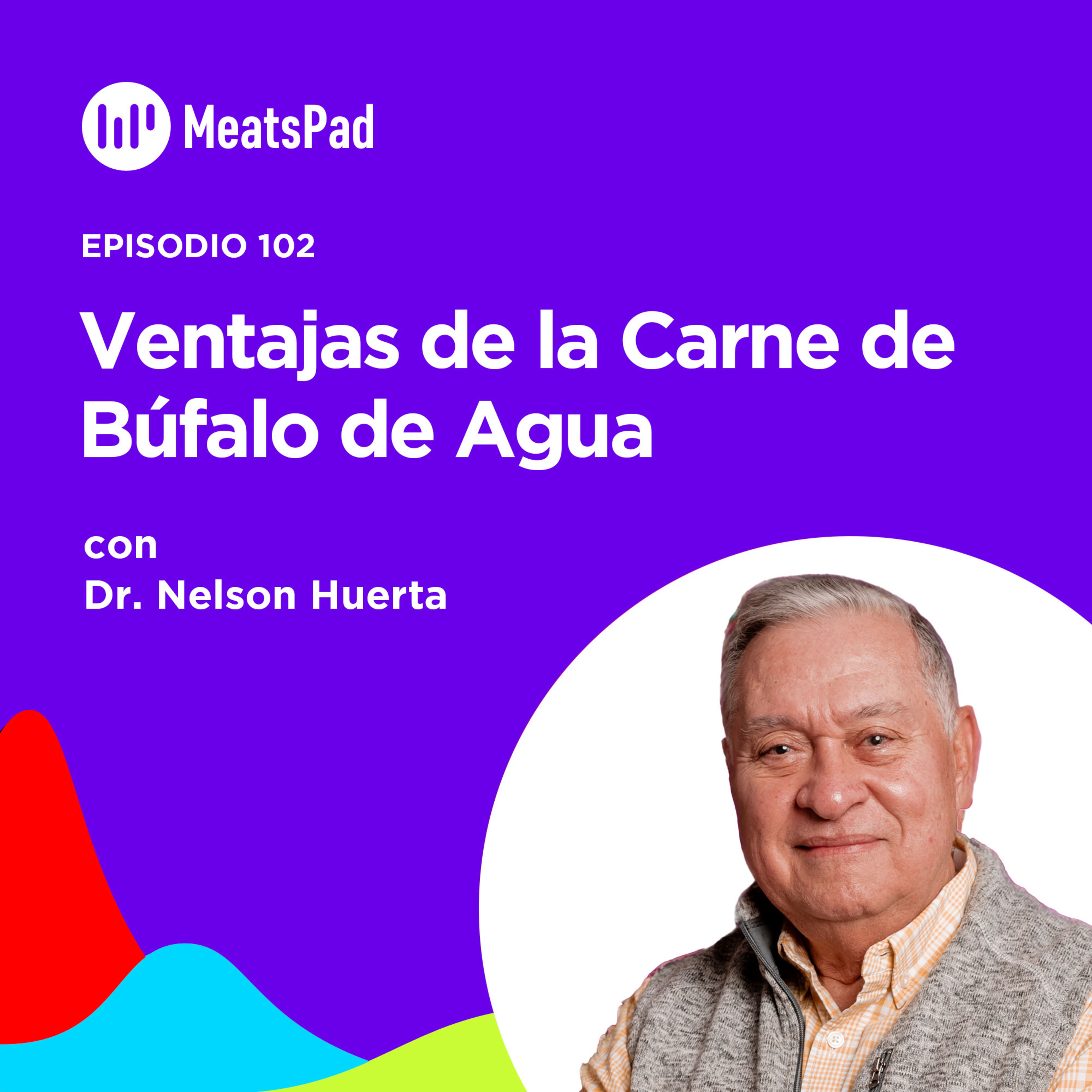 Portada de MeatsPad Esp